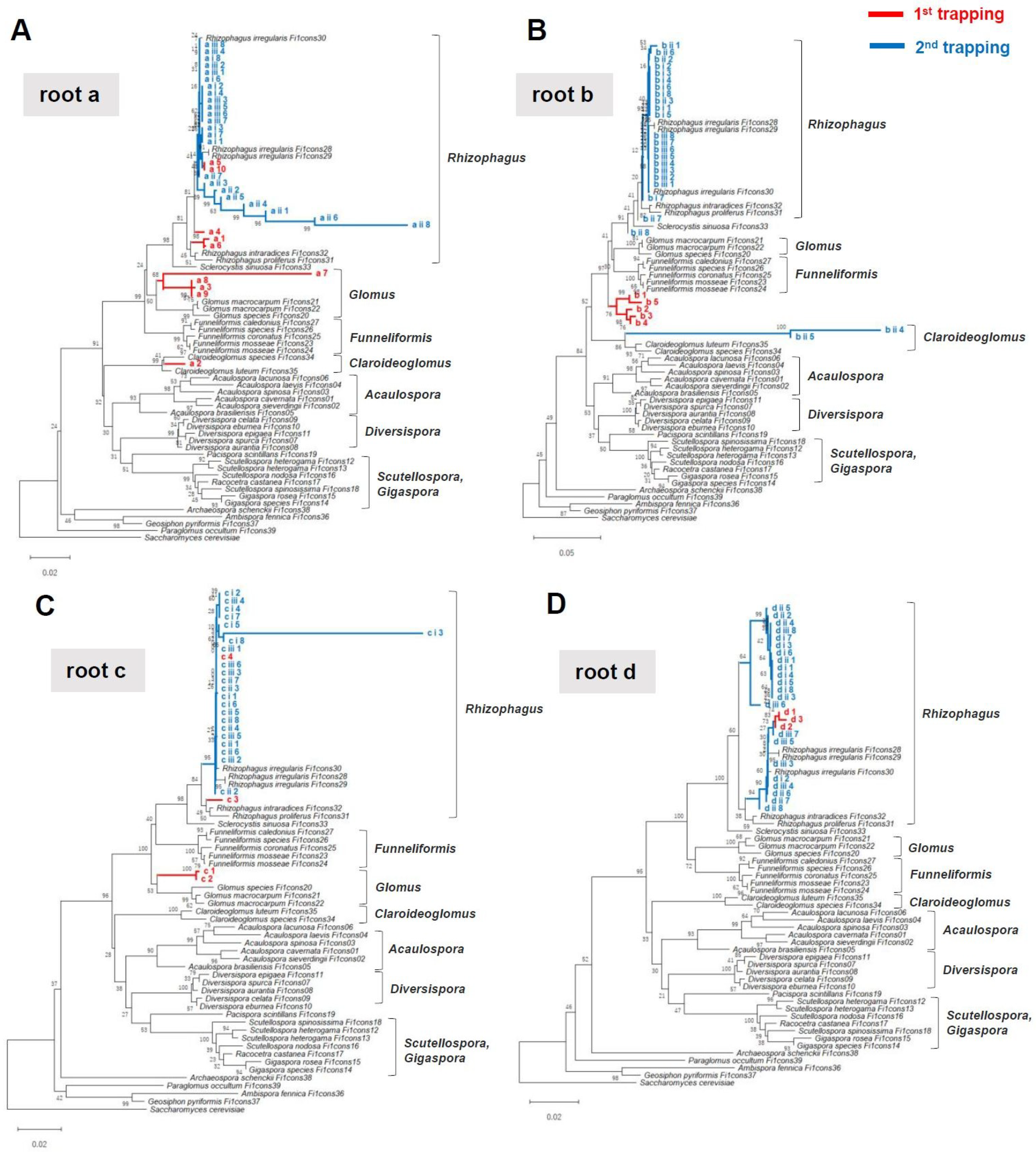 Plants 08 00142 g003