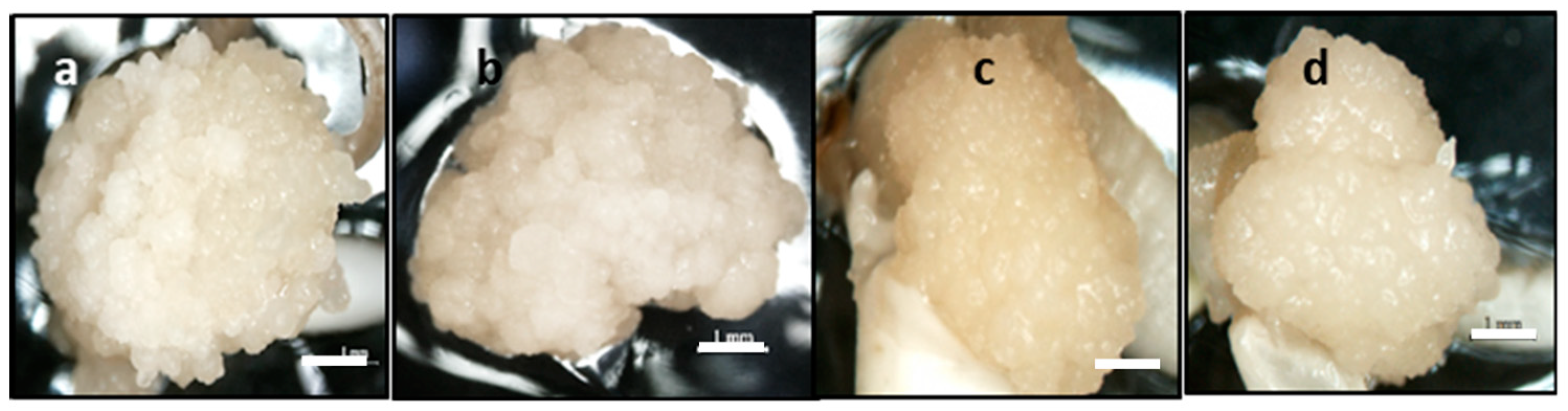 Plants 08 00144 g004