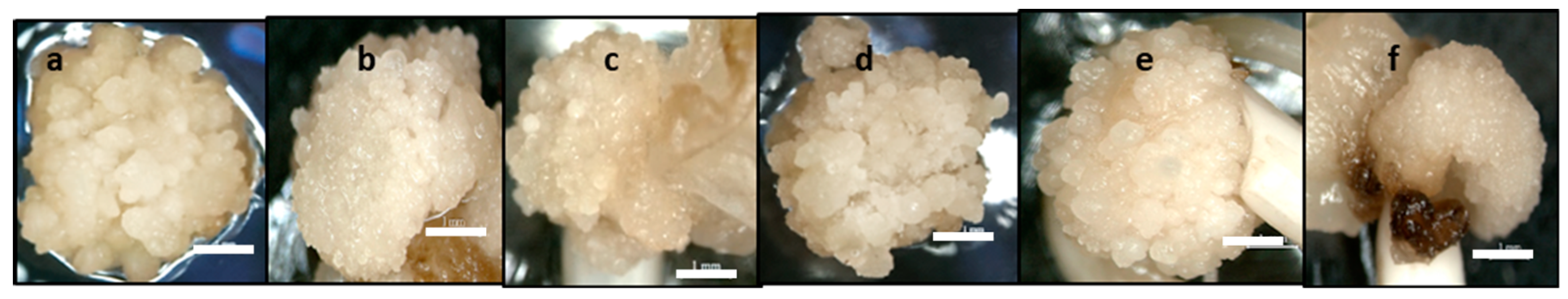 Plants 08 00144 g006