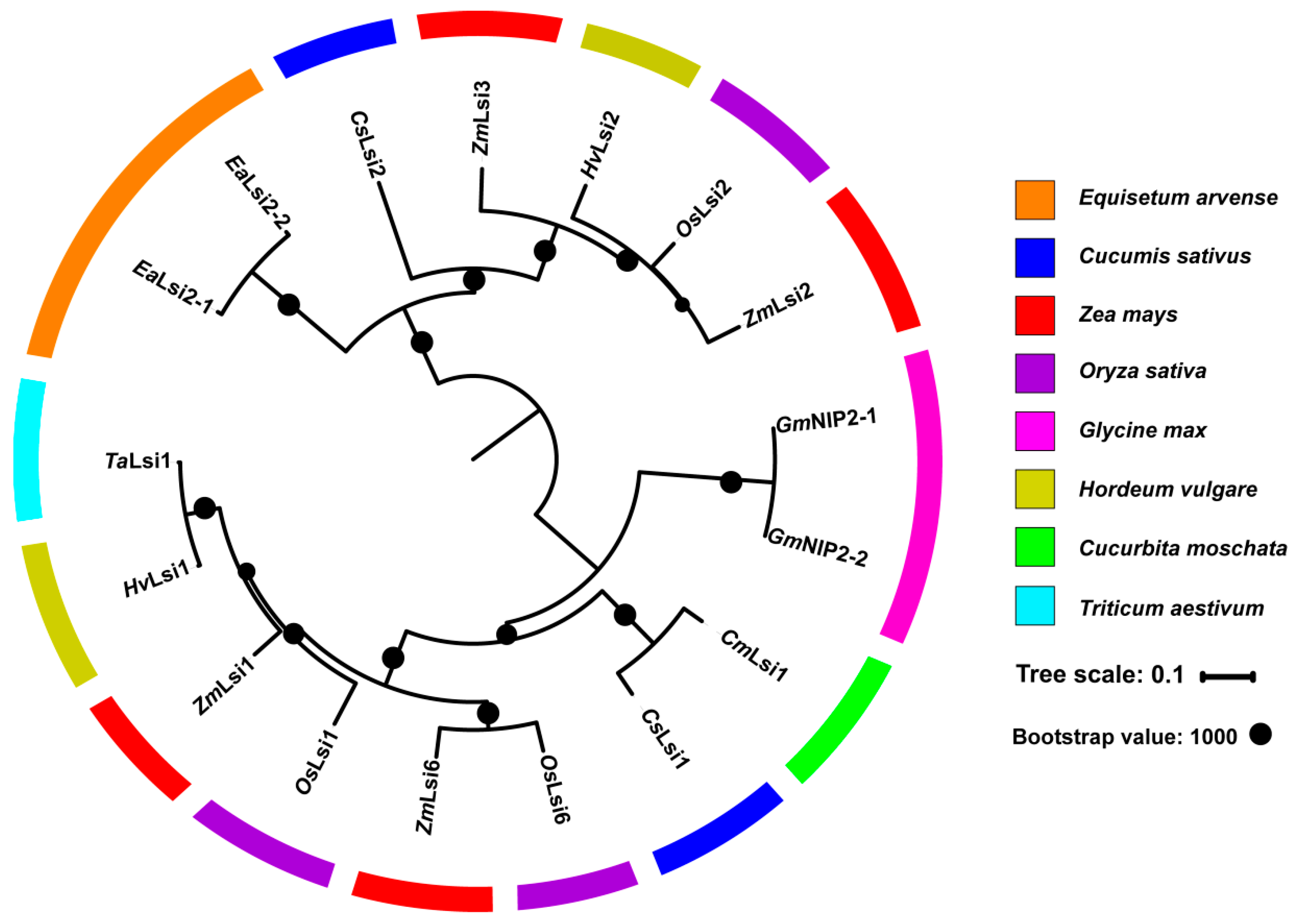 Plants 08 00147 g002