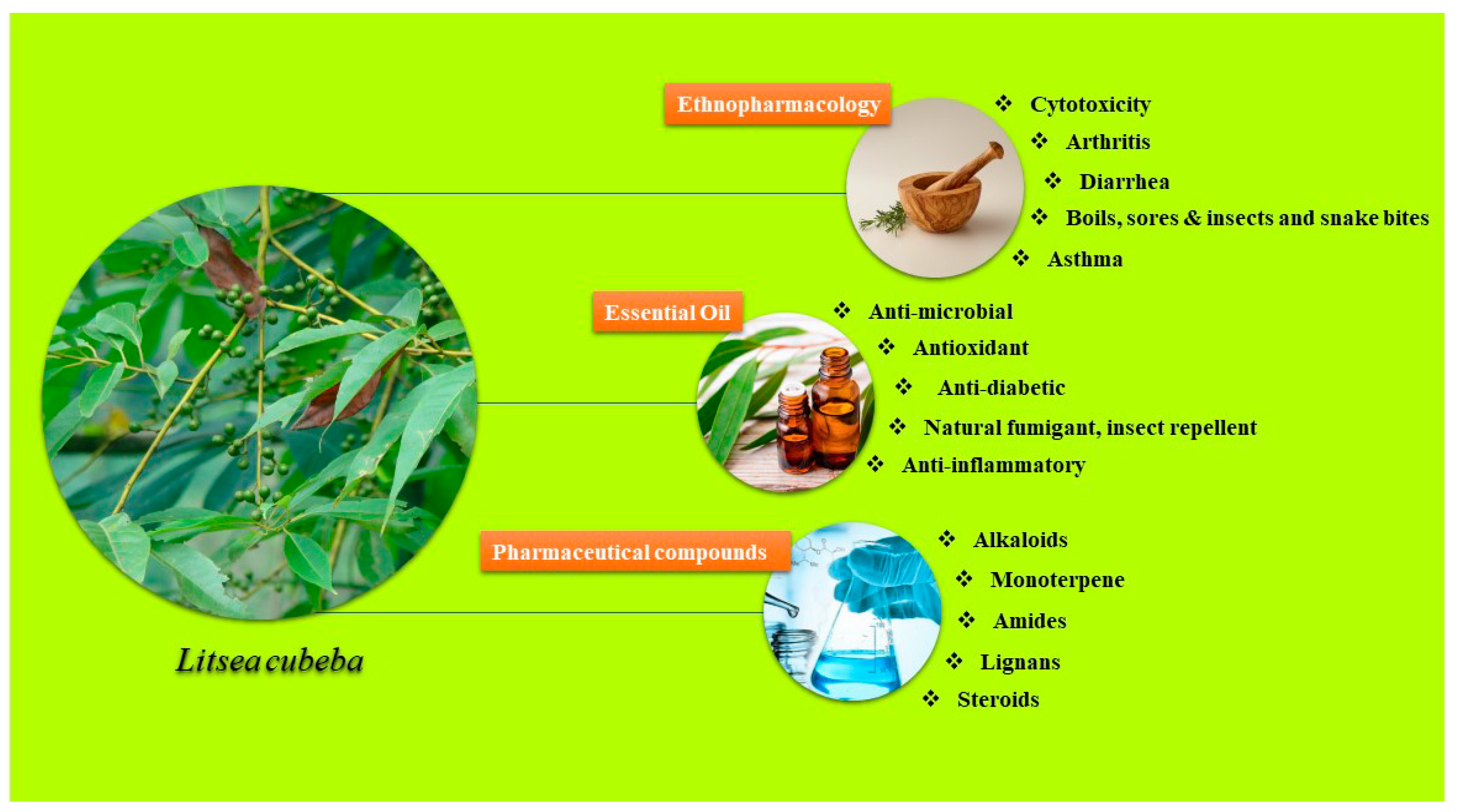 Plants 08 00150 g001