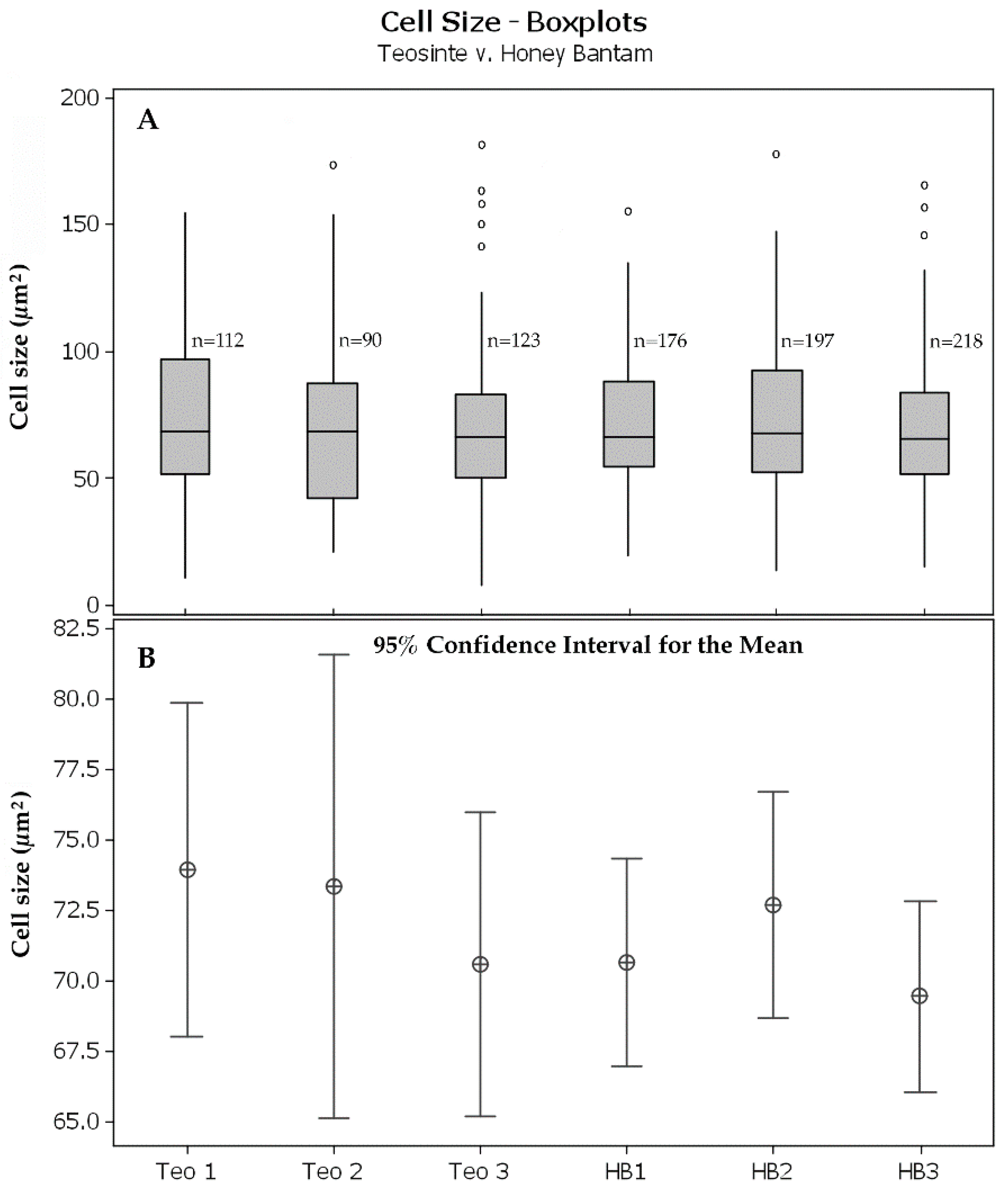 Plants 08 00162 g005 Plants 08 00162 g005