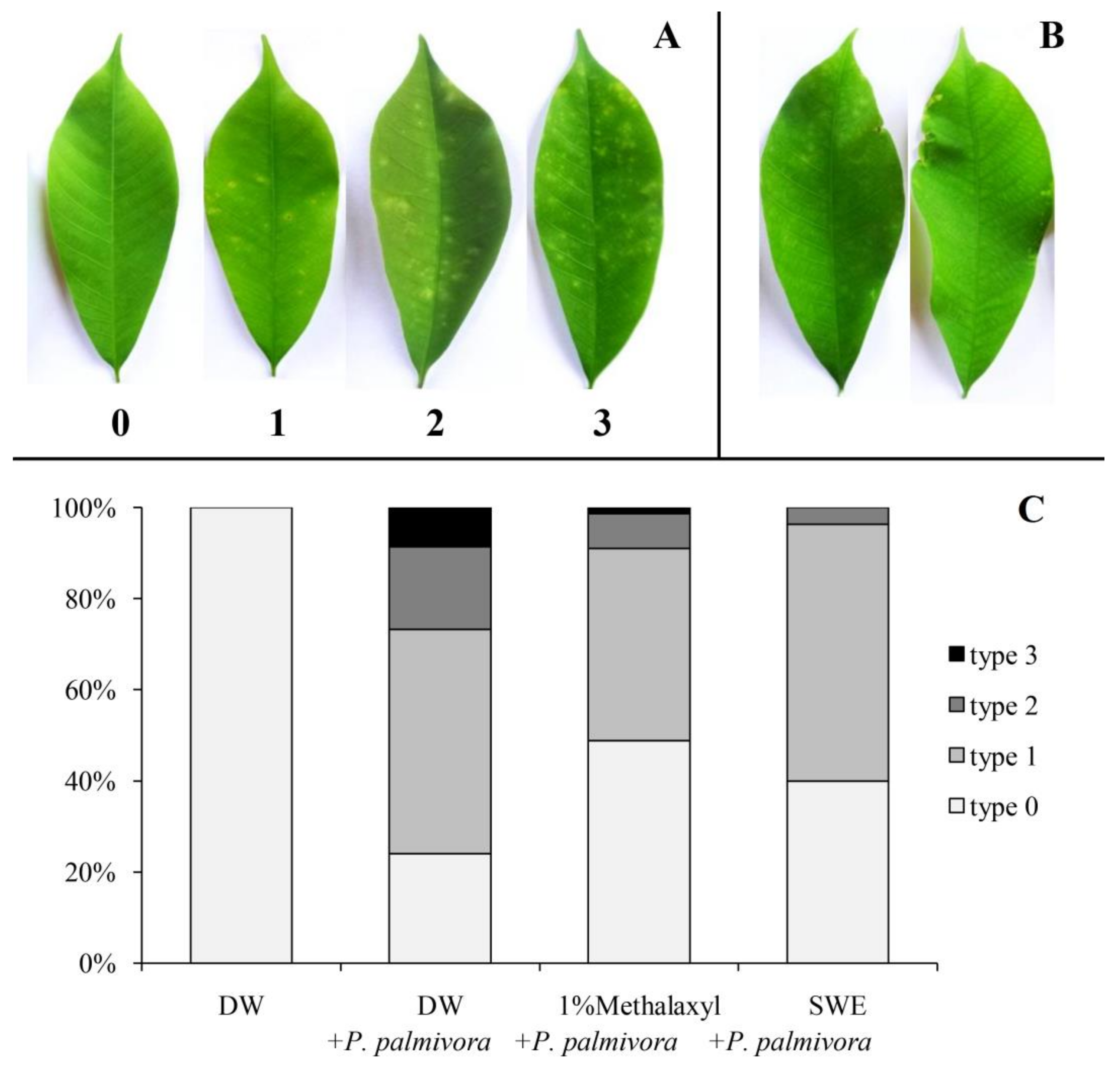 Plants 08 00168 g003