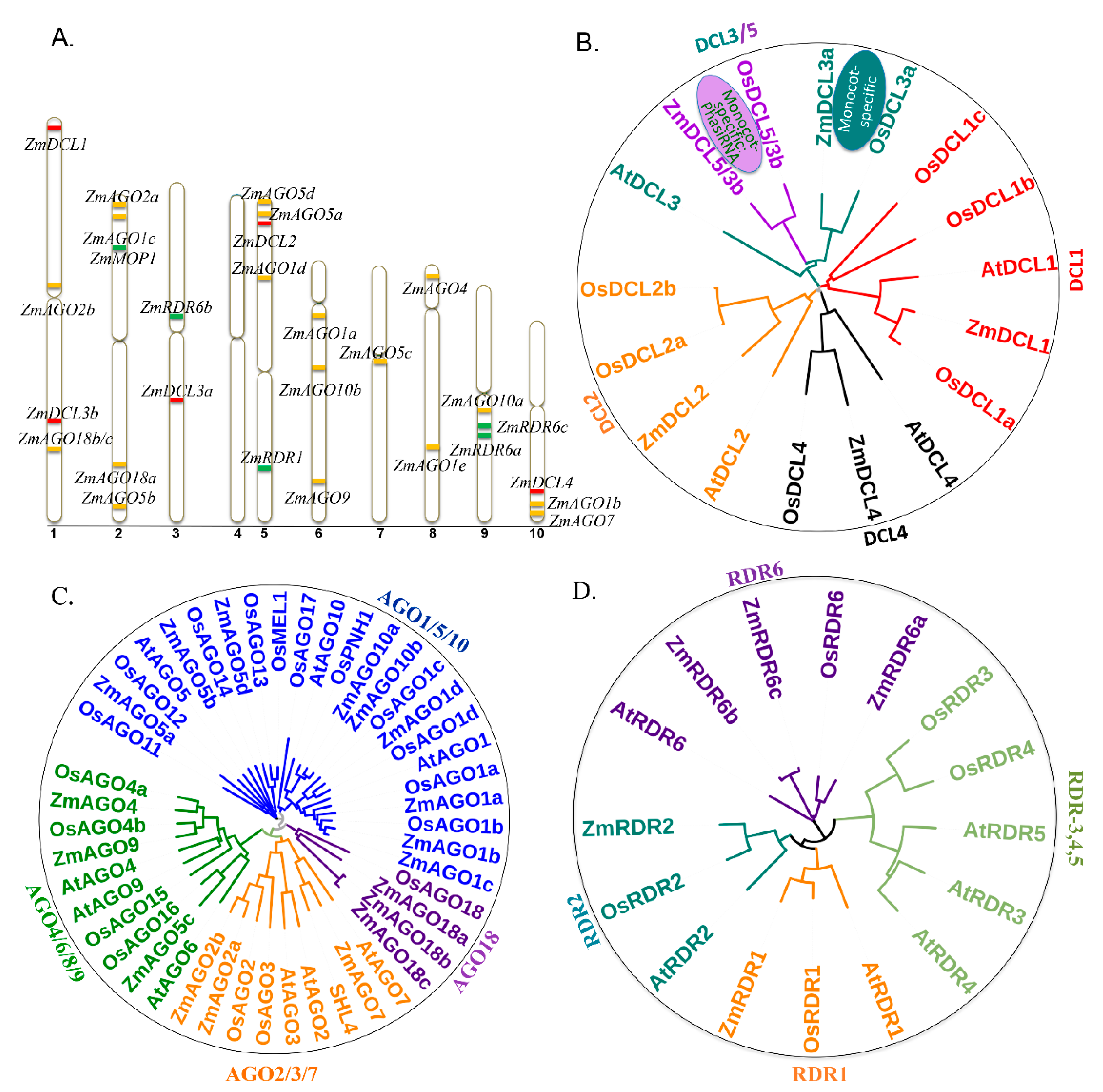 Plants Free Full Text Perspectives On Micrornas And - 
