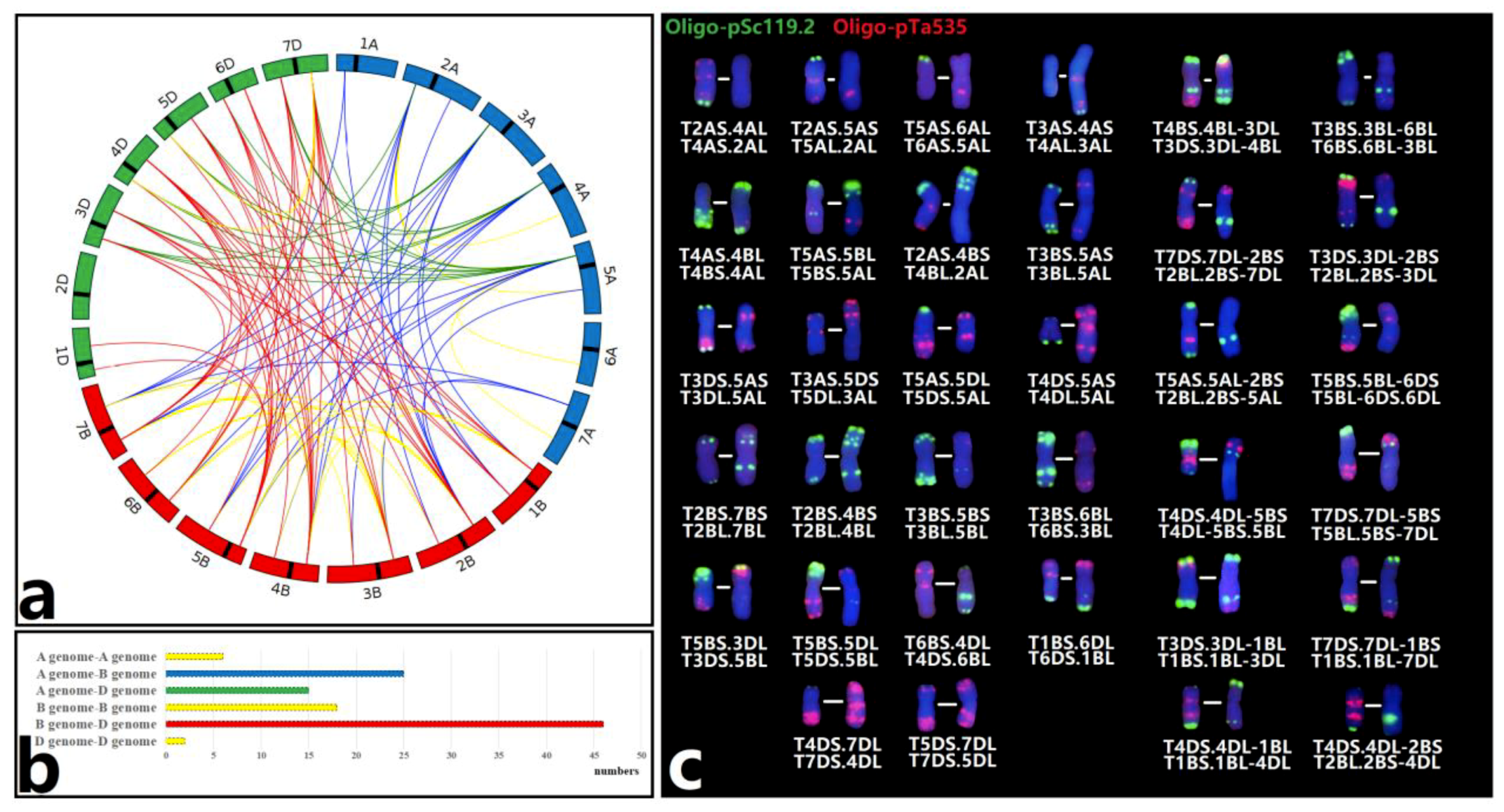 Plants 08 00175 g003