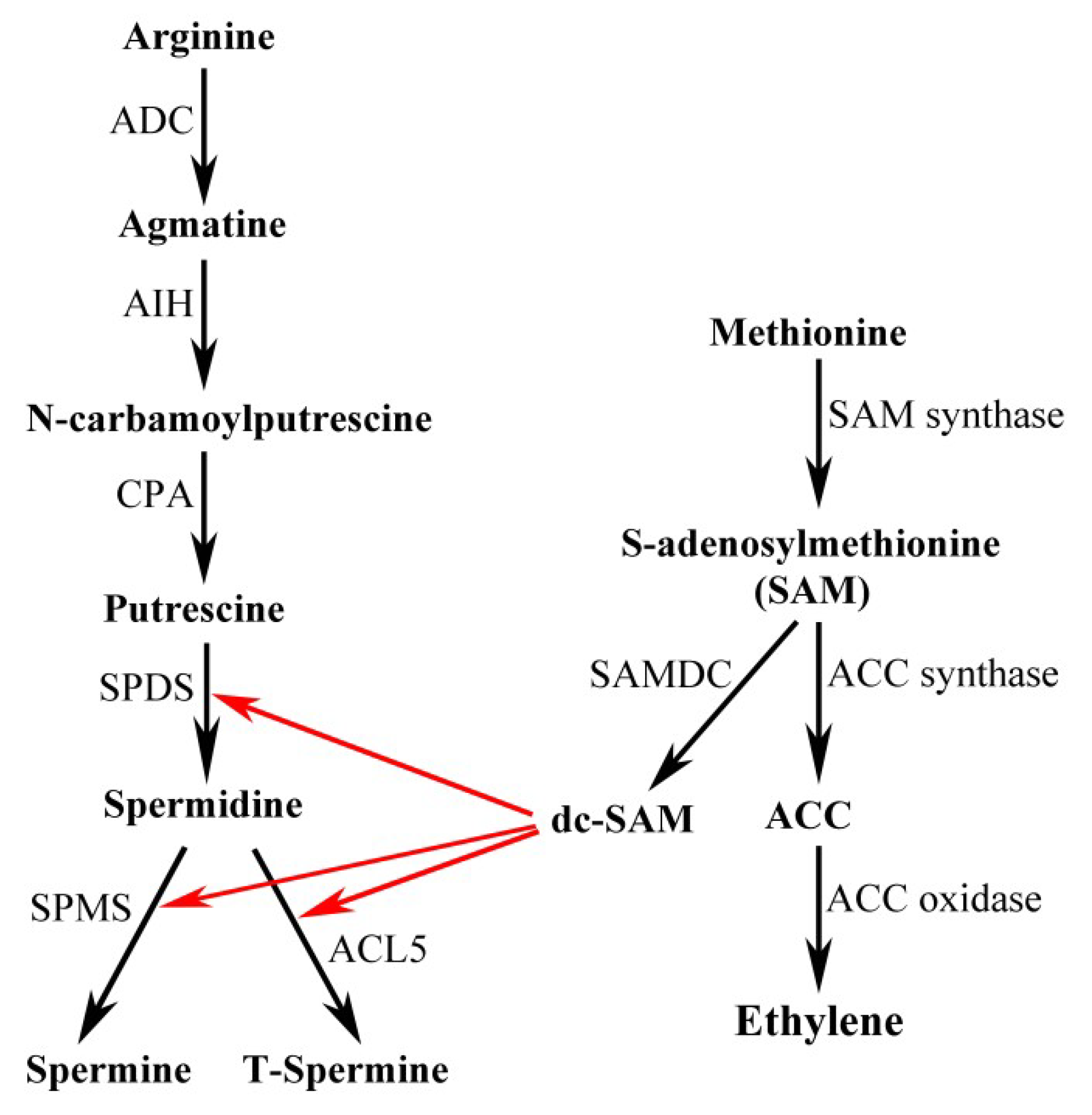 Plants 08 00184 g001