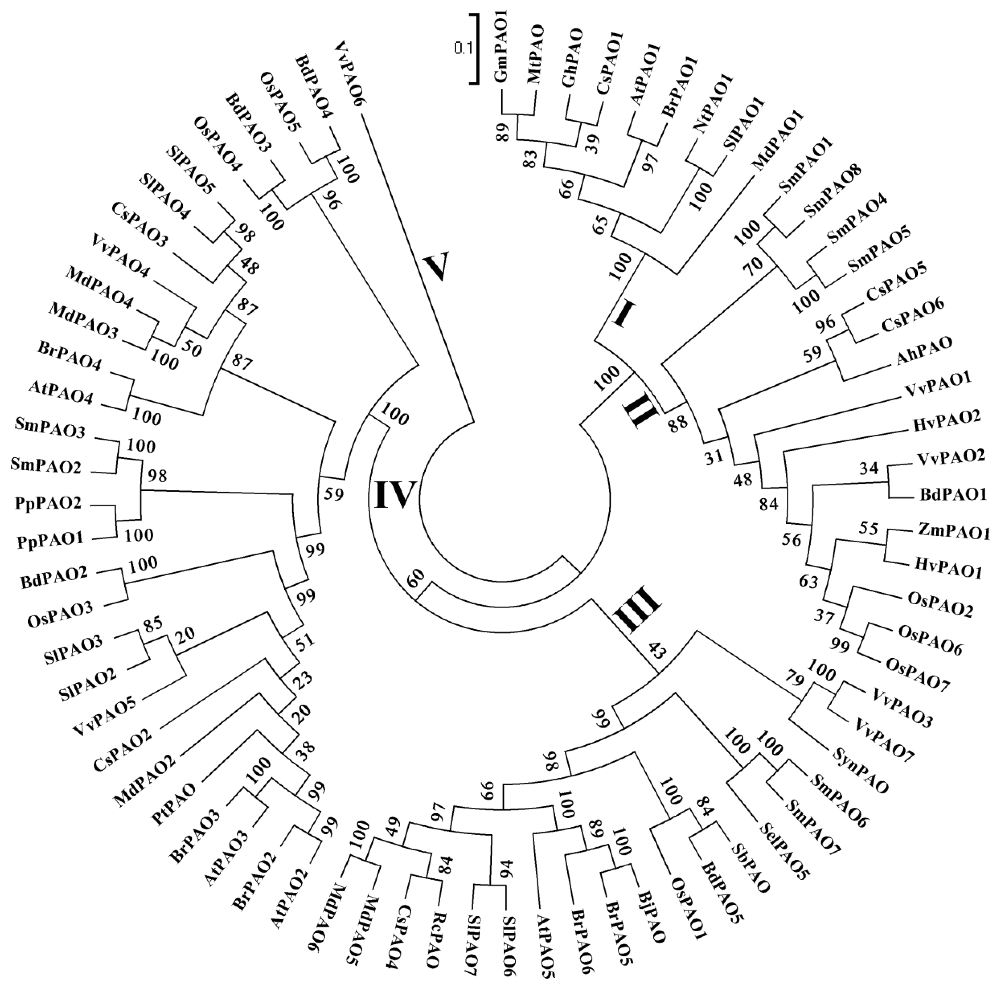 Plants 08 00184 g002