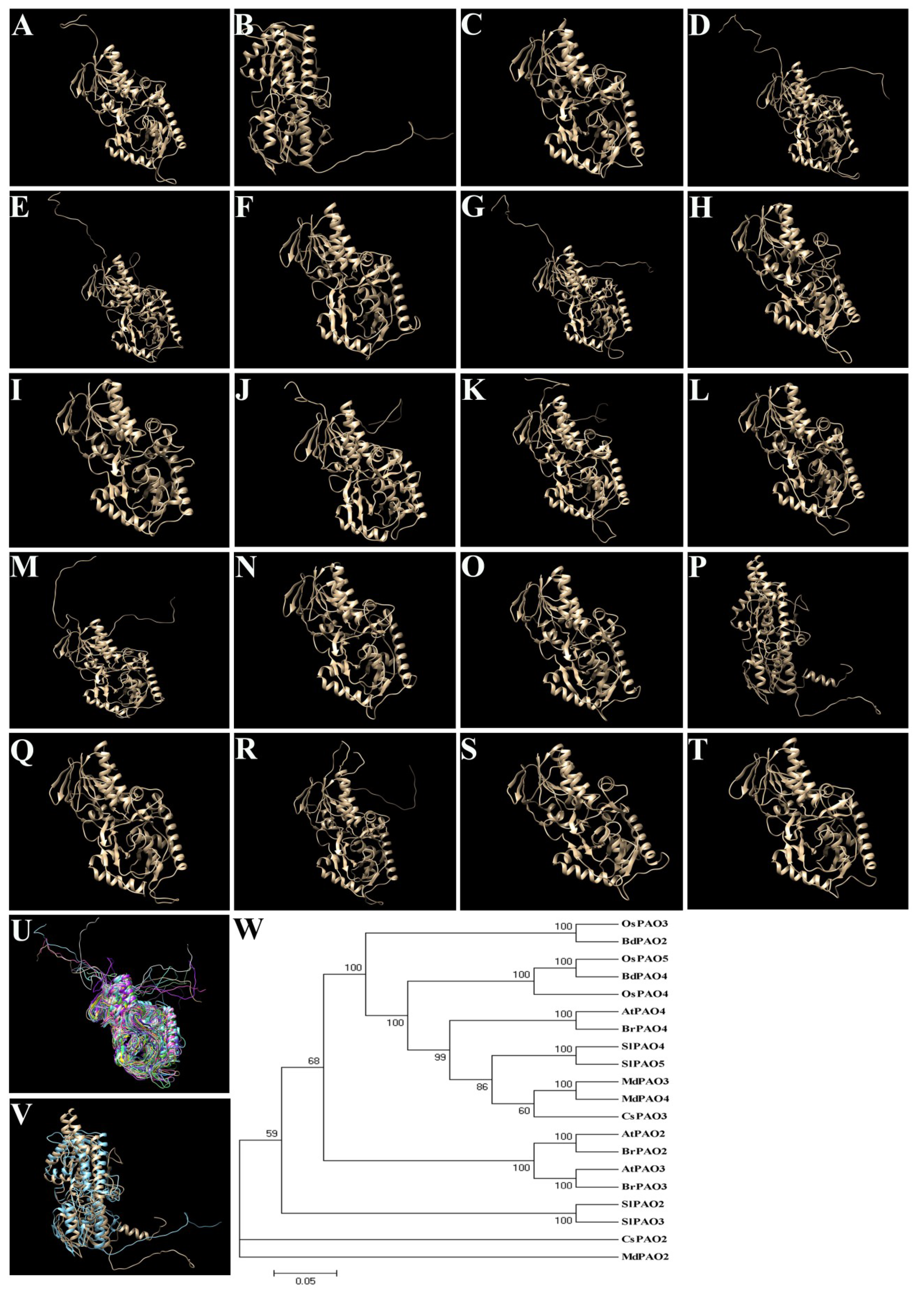 Plants 08 00184 g004