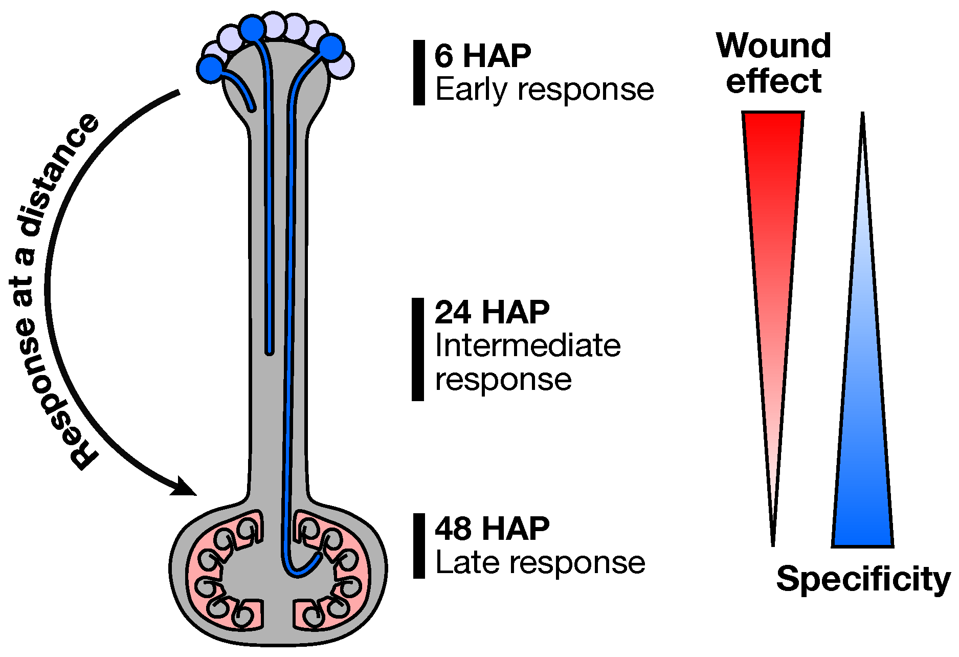 Plants 08 00185 g008 Plants 08 00185 g008