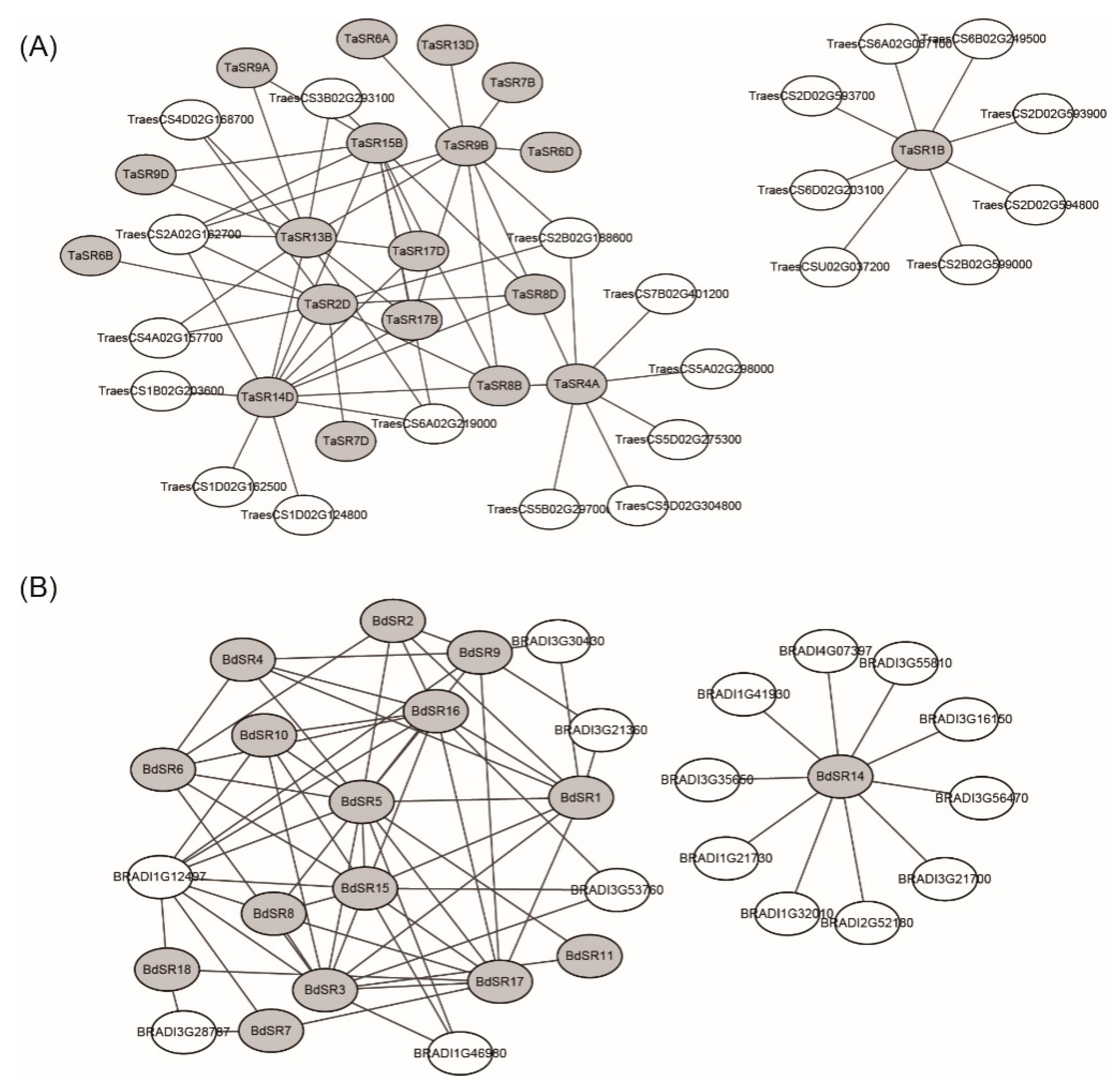 Plants 08 00188 g005 Plants 08 00188 g005