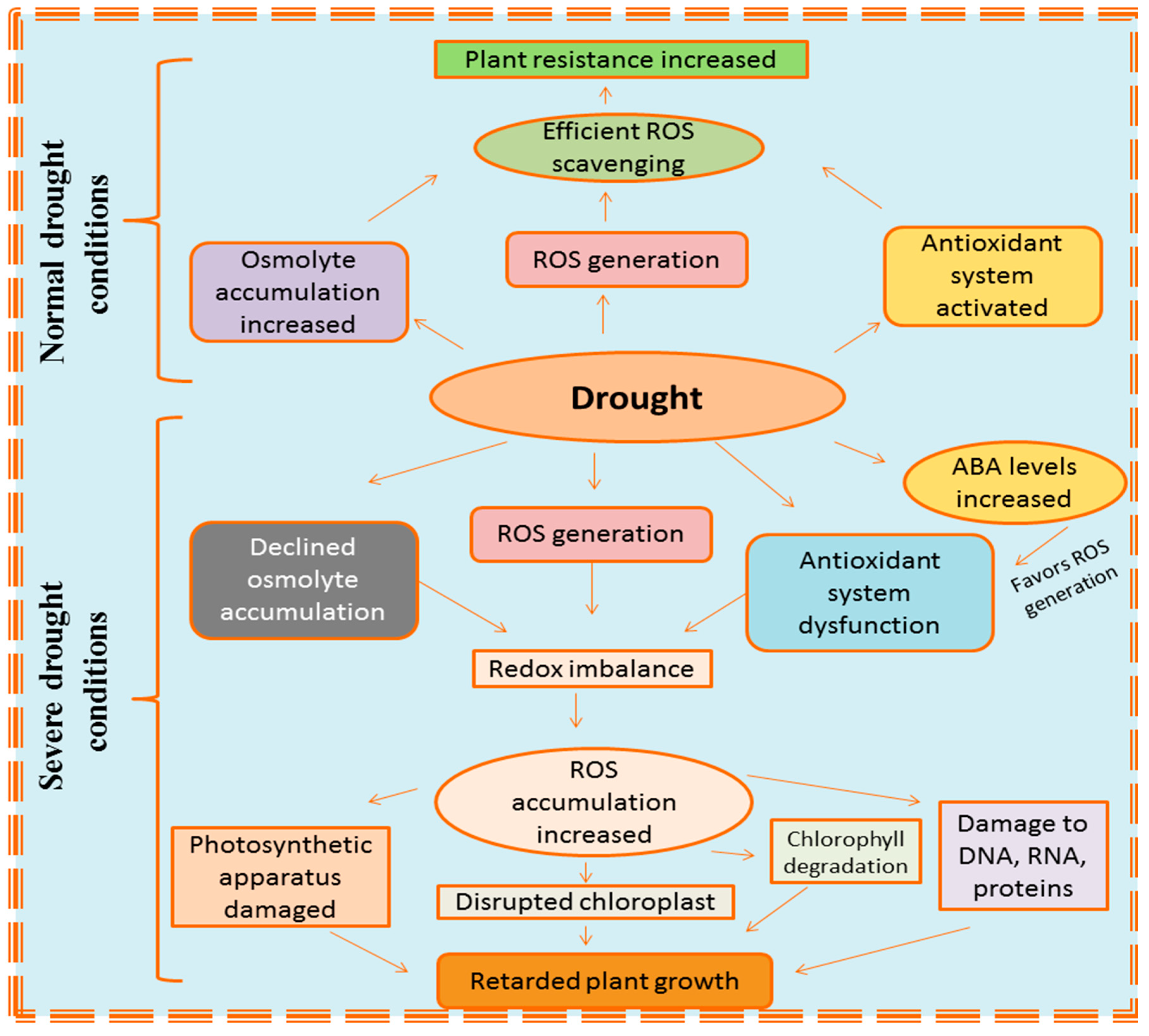 Plants 08 00190 g001