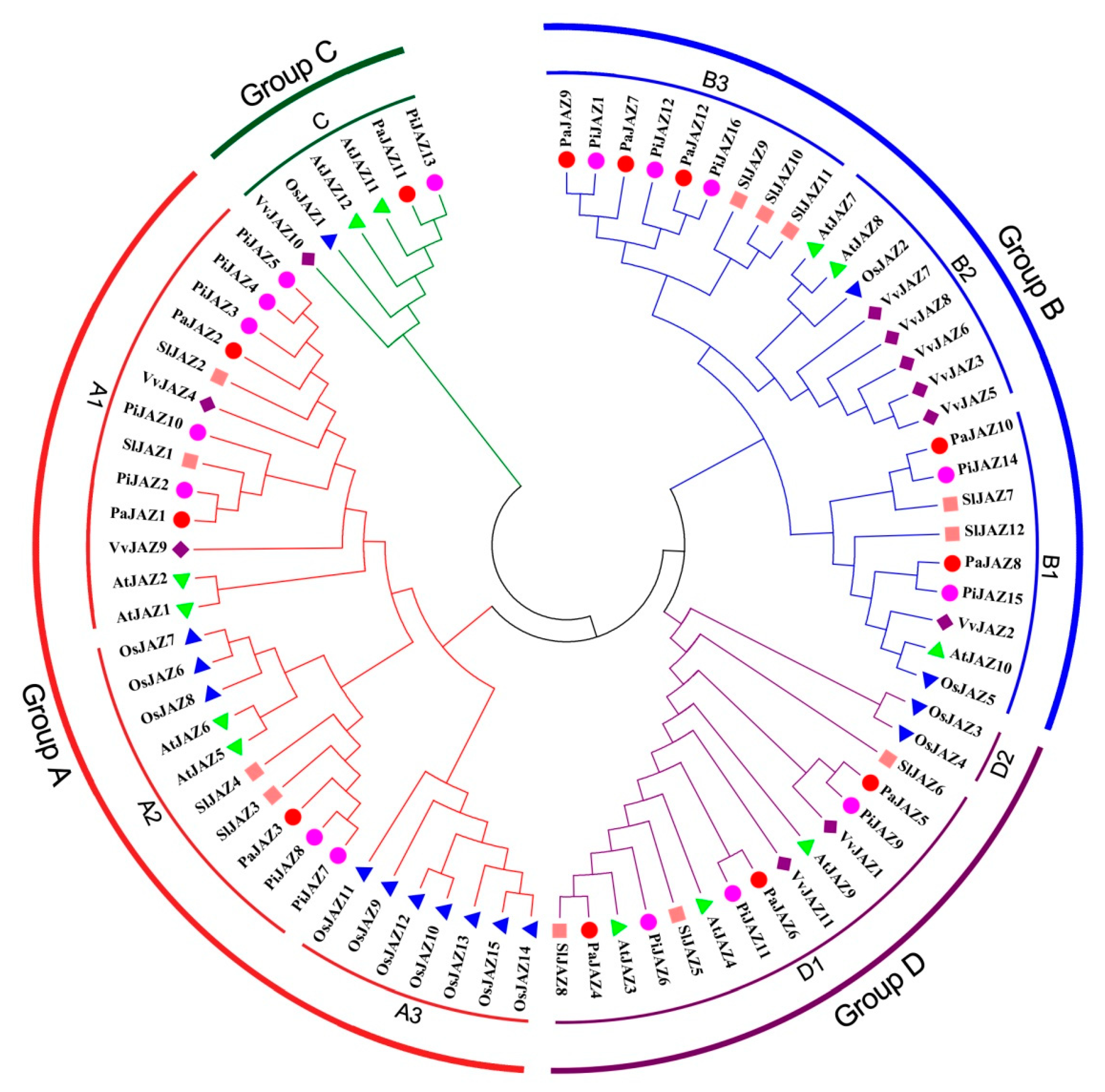 Plants 08 00203 g001 Plants 08 00203 g001