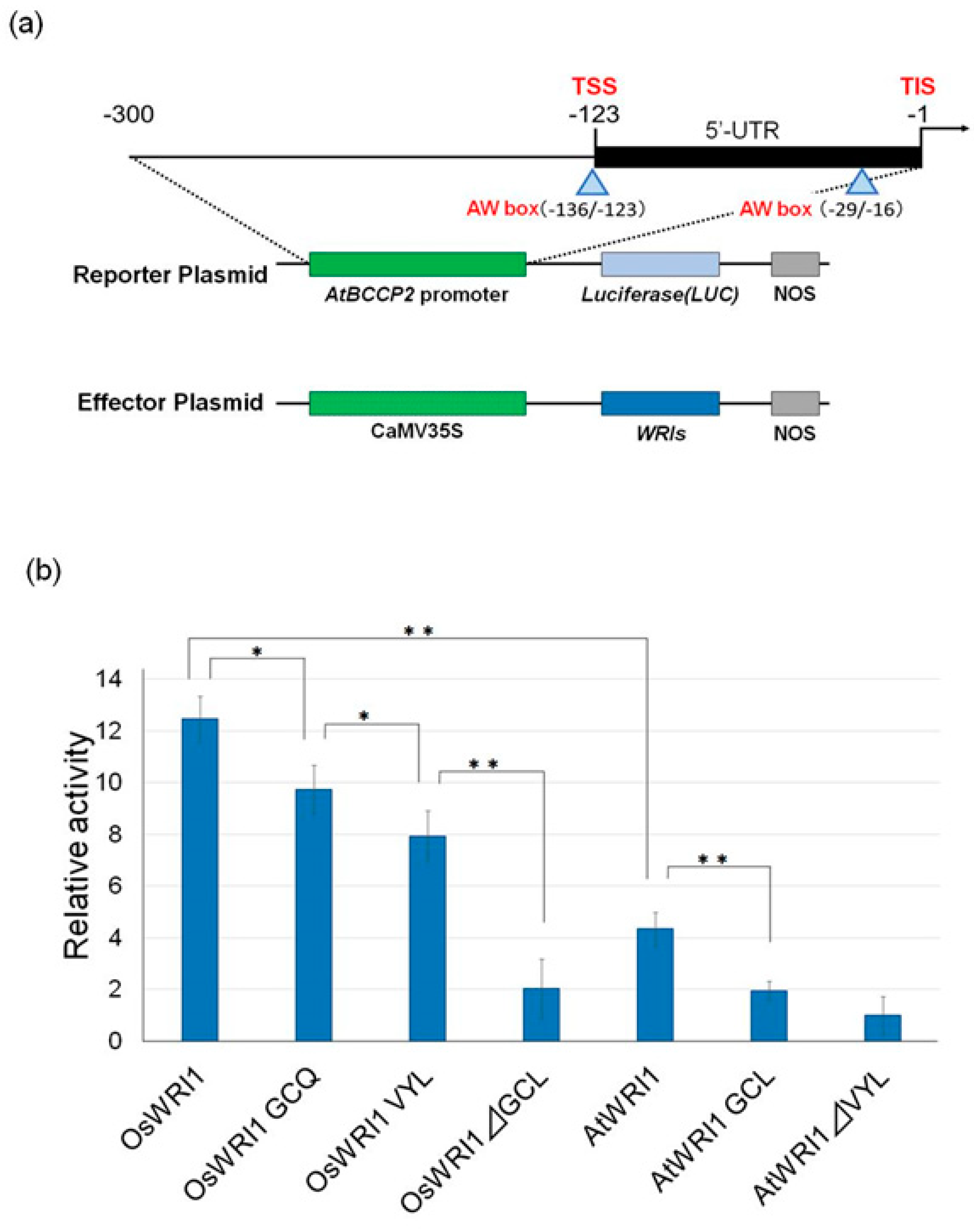Plants 08 00207 g006 Plants 08 00207 g006