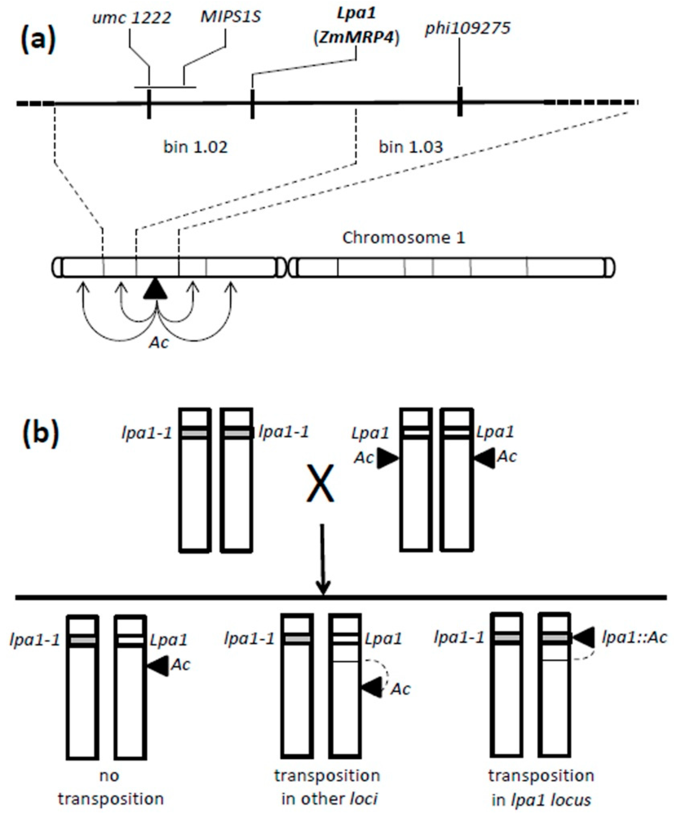 Plants 08 00209 g001