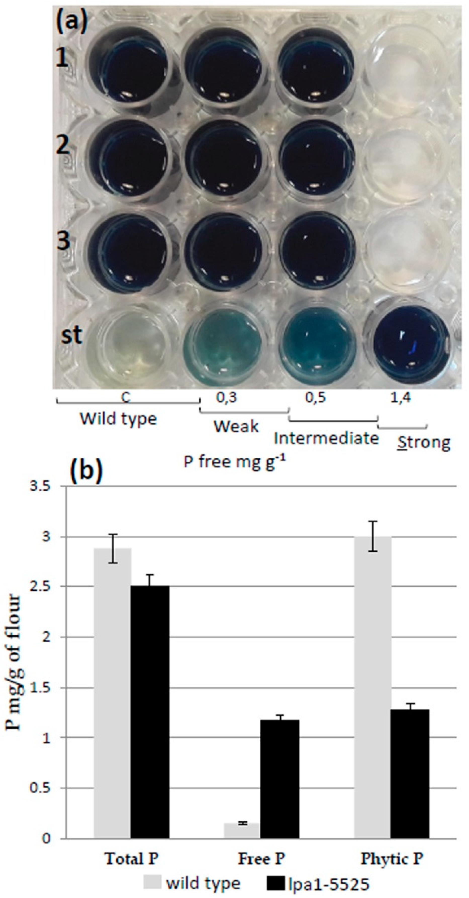 Plants 08 00209 g004