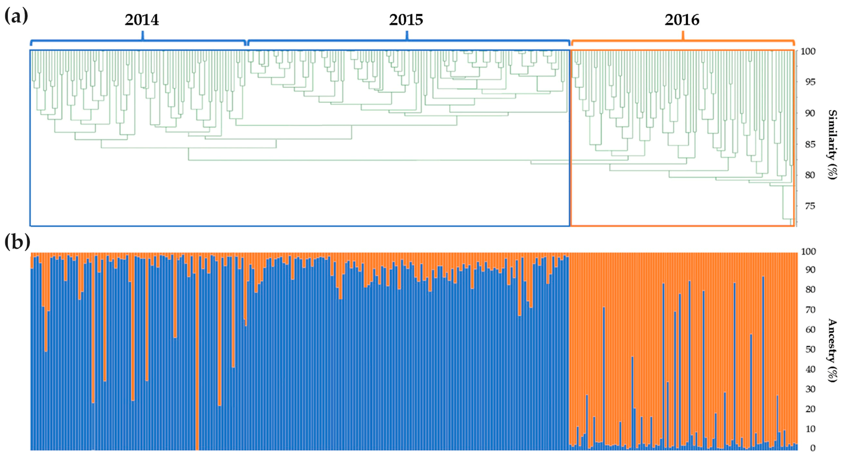 Plants 08 00213 g004