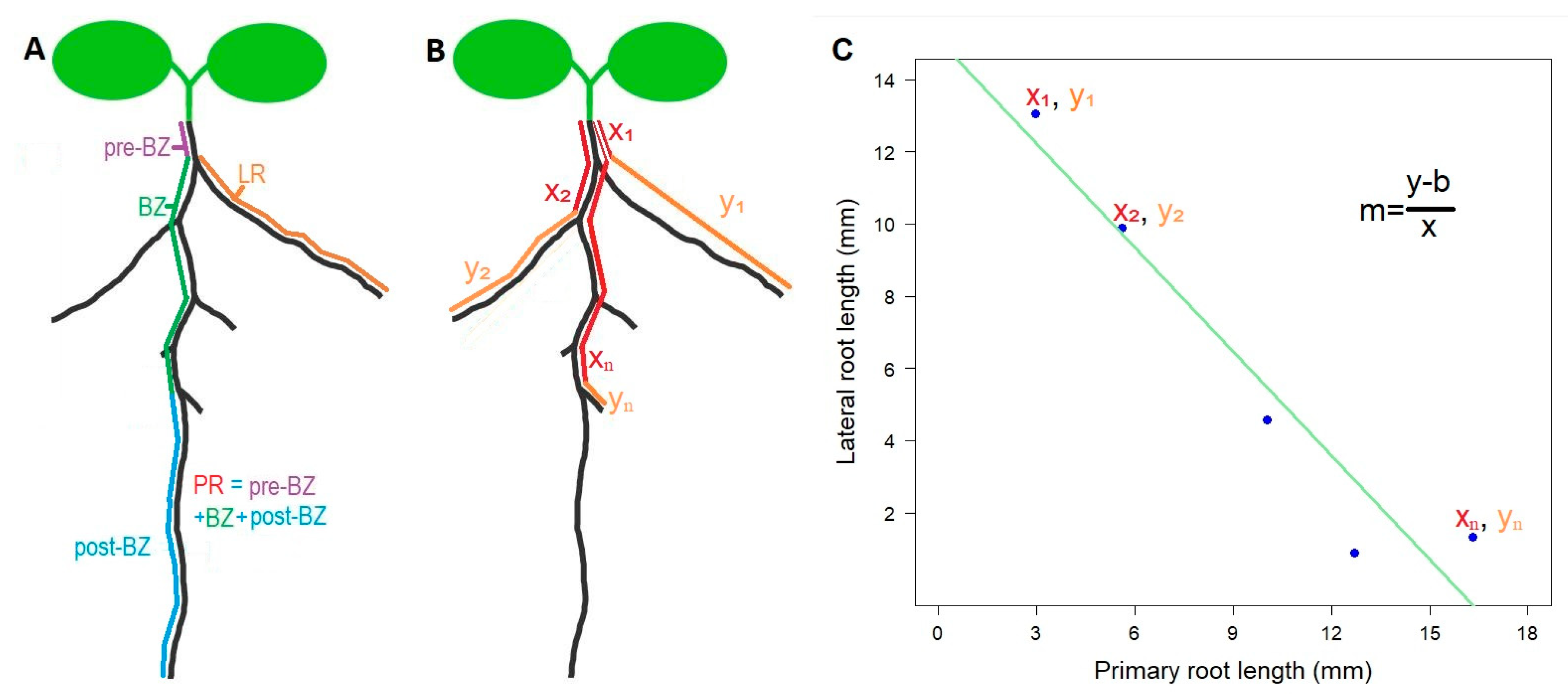 Plants 08 00218 g002