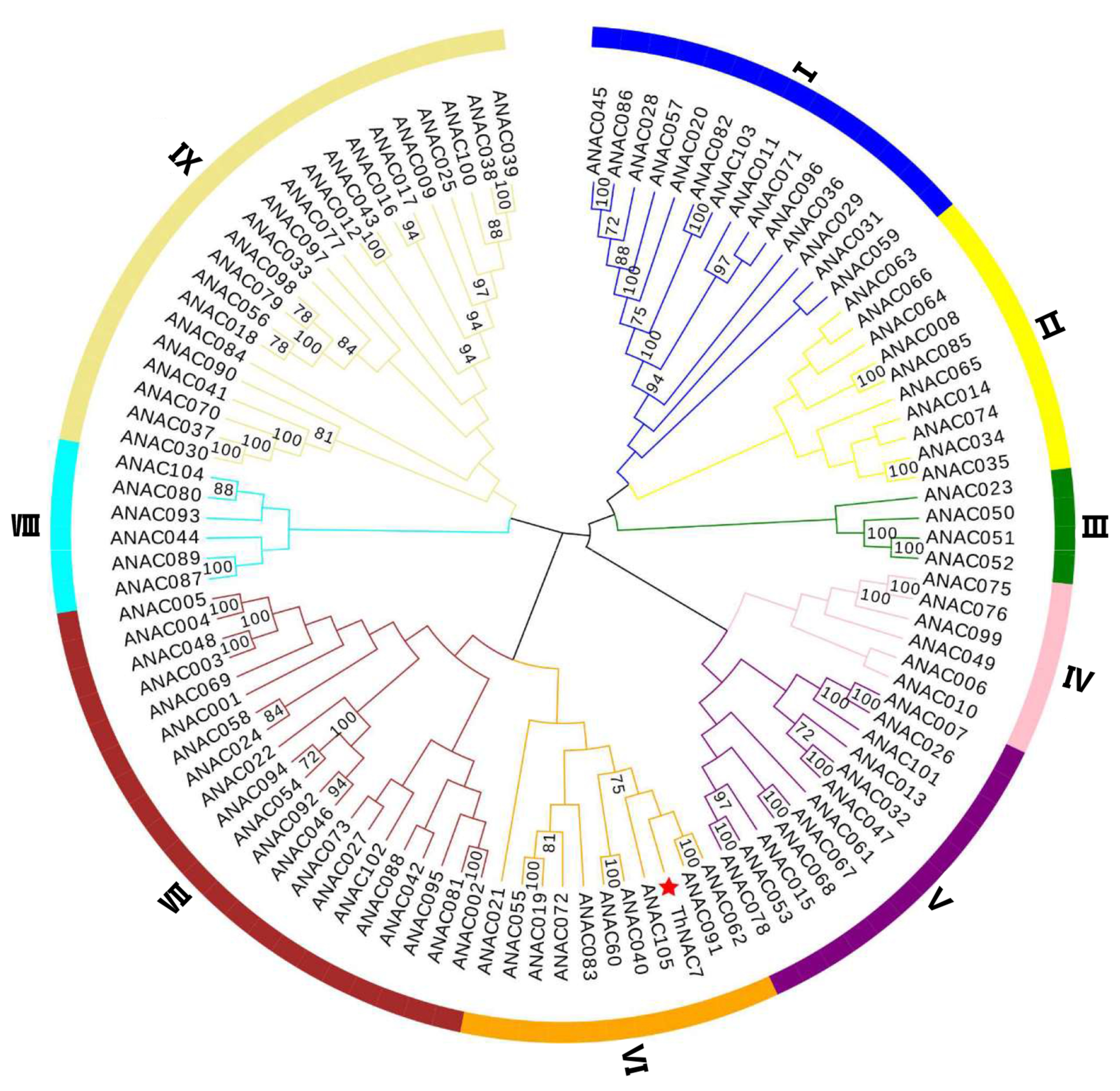 Plants 08 00221 g001