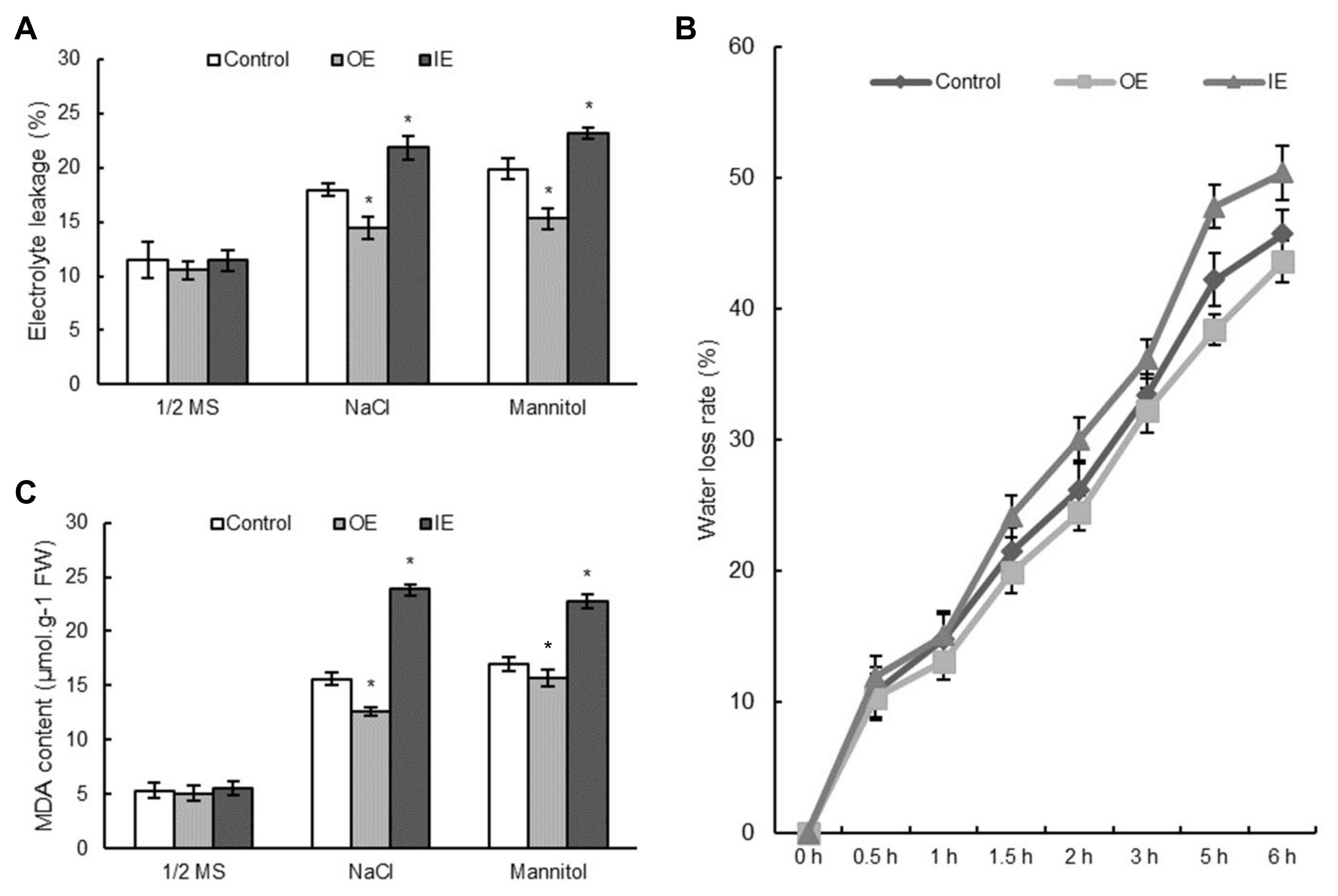 Plants 08 00221 g007