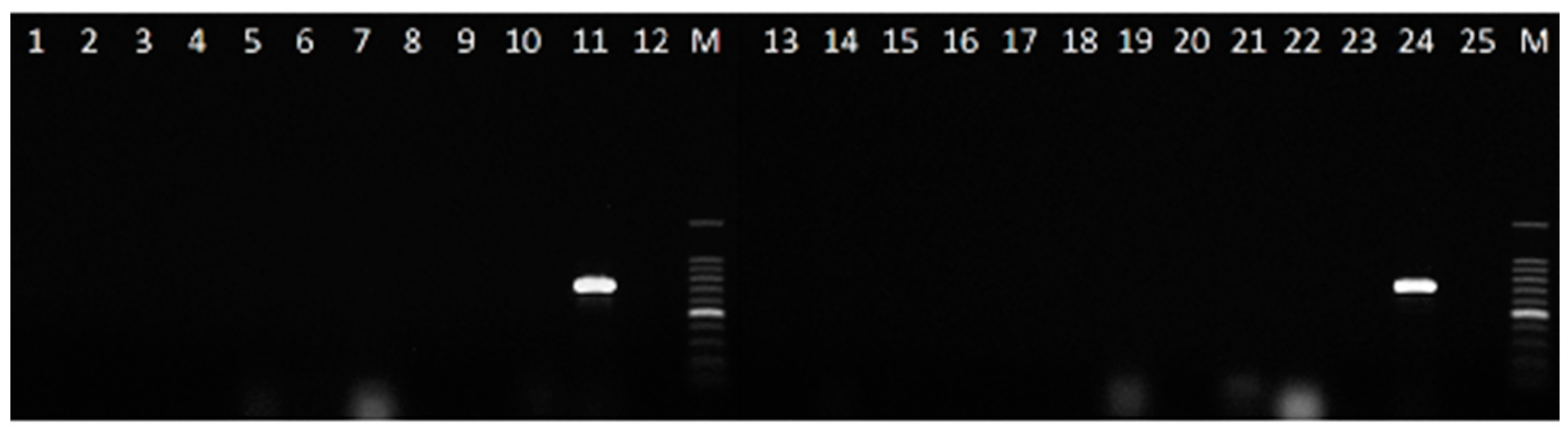 Plants 08 00222 g003