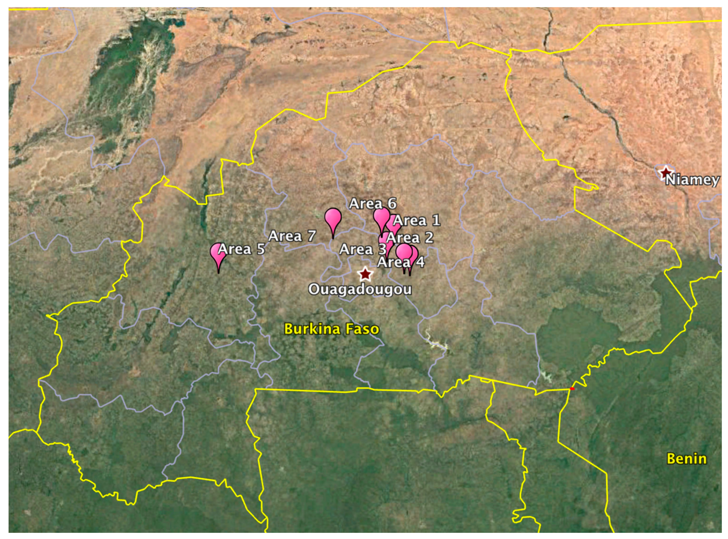 Plants 08 00223 g003 550