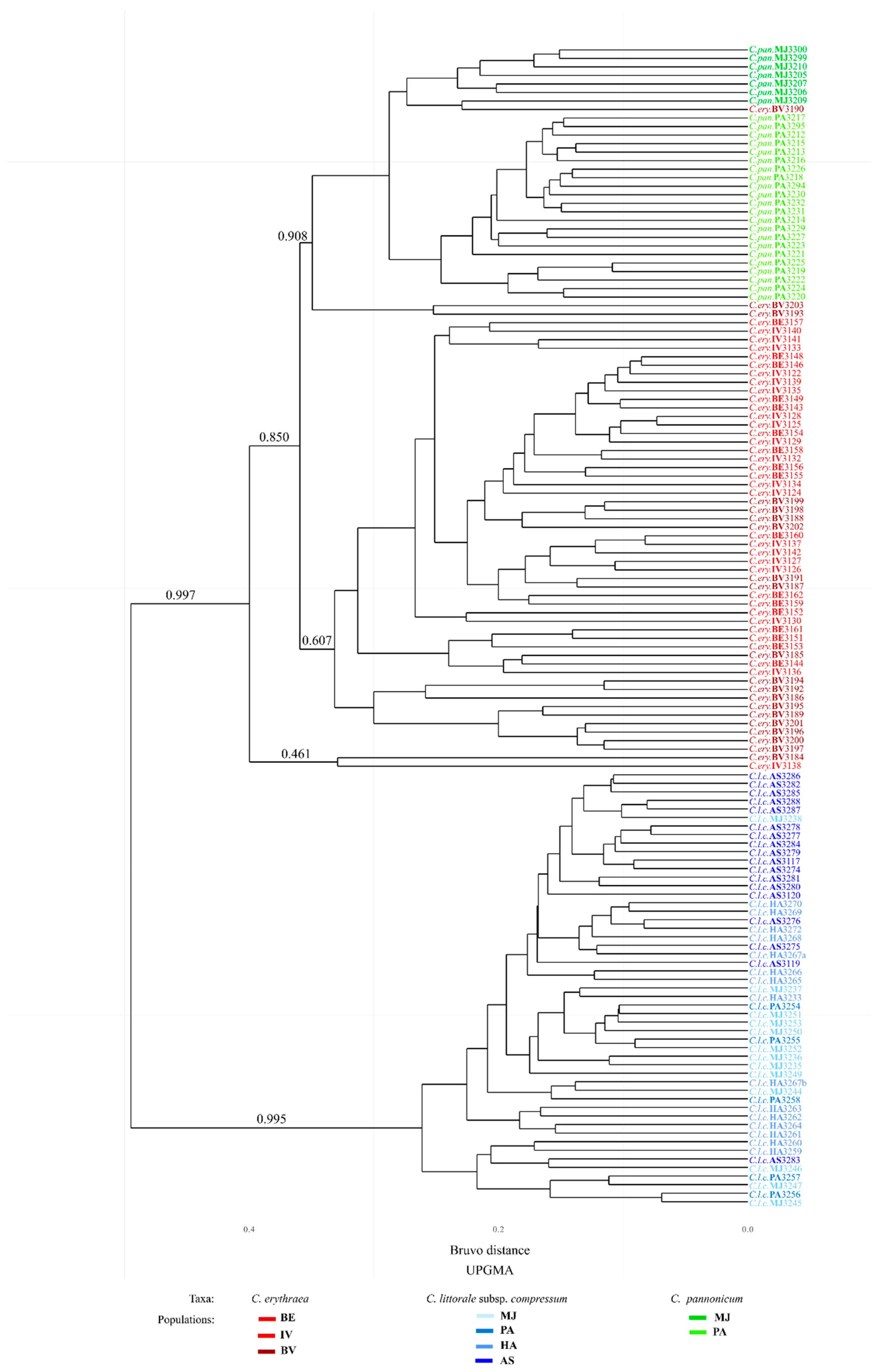 Plants 08 00224 g003 Plants 08 00224 g003