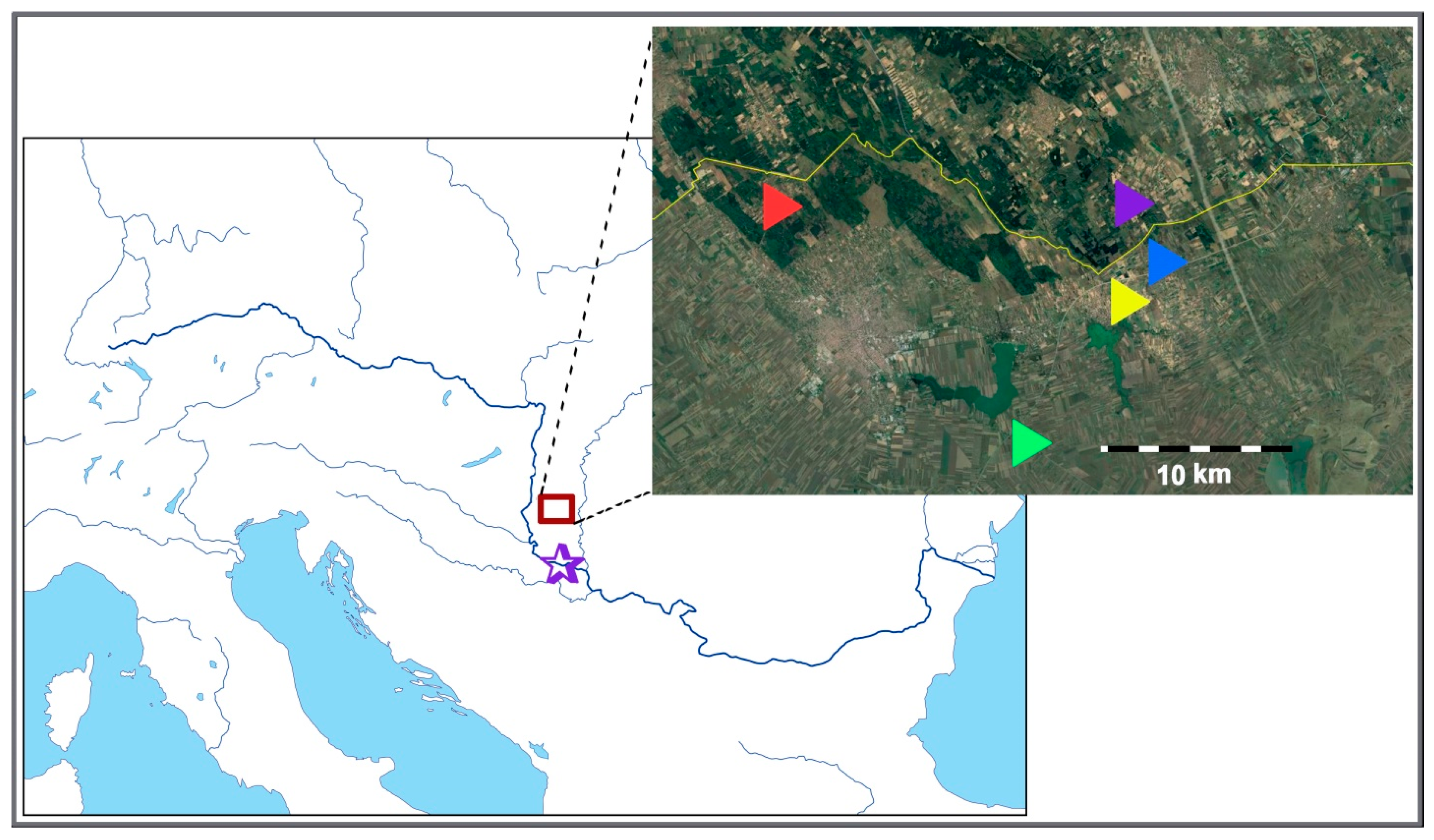 Plants 08 00224 g006 Plants 08 00224 g006