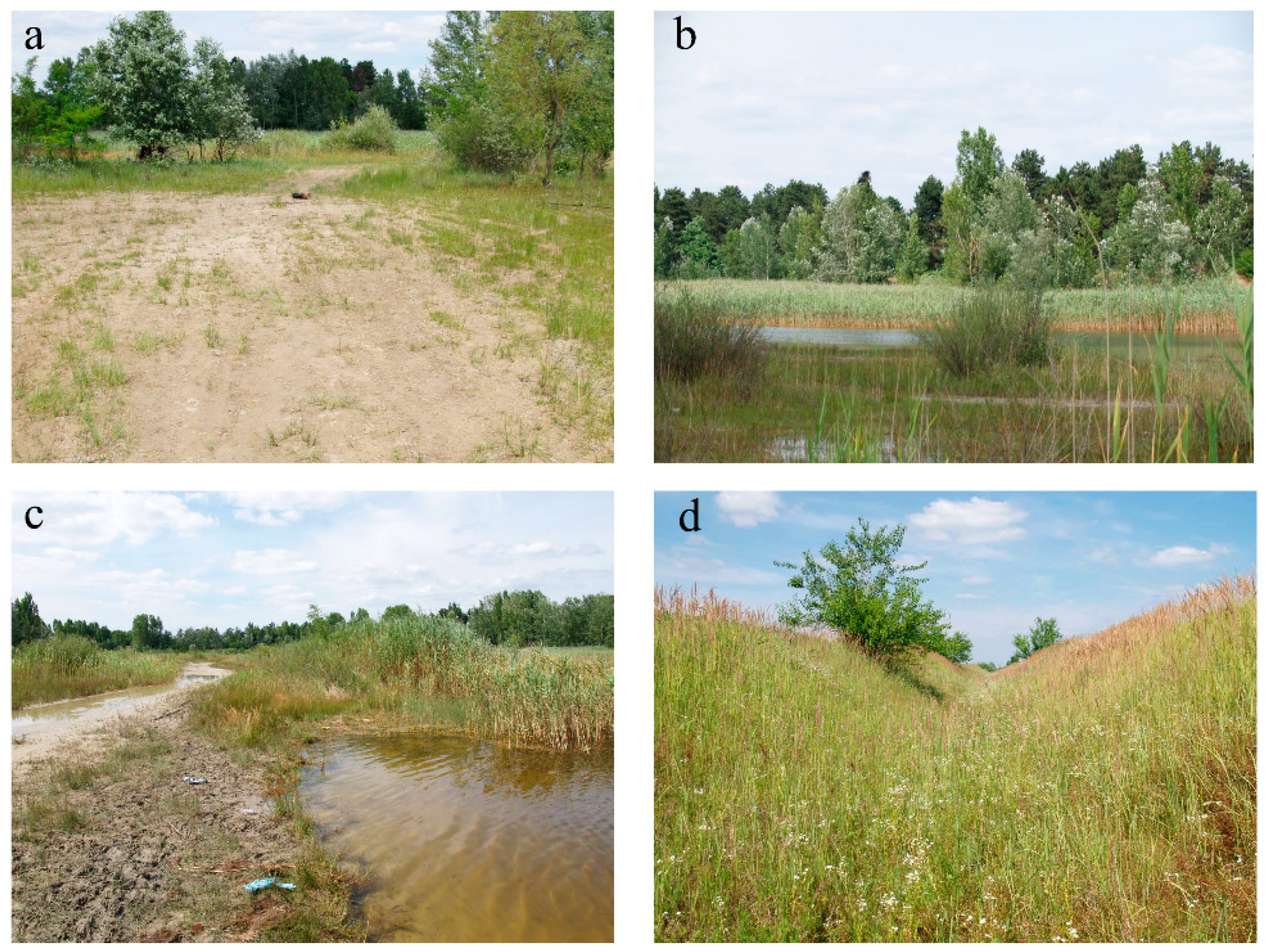 Plants 08 00224 g007 Plants 08 00224 g007