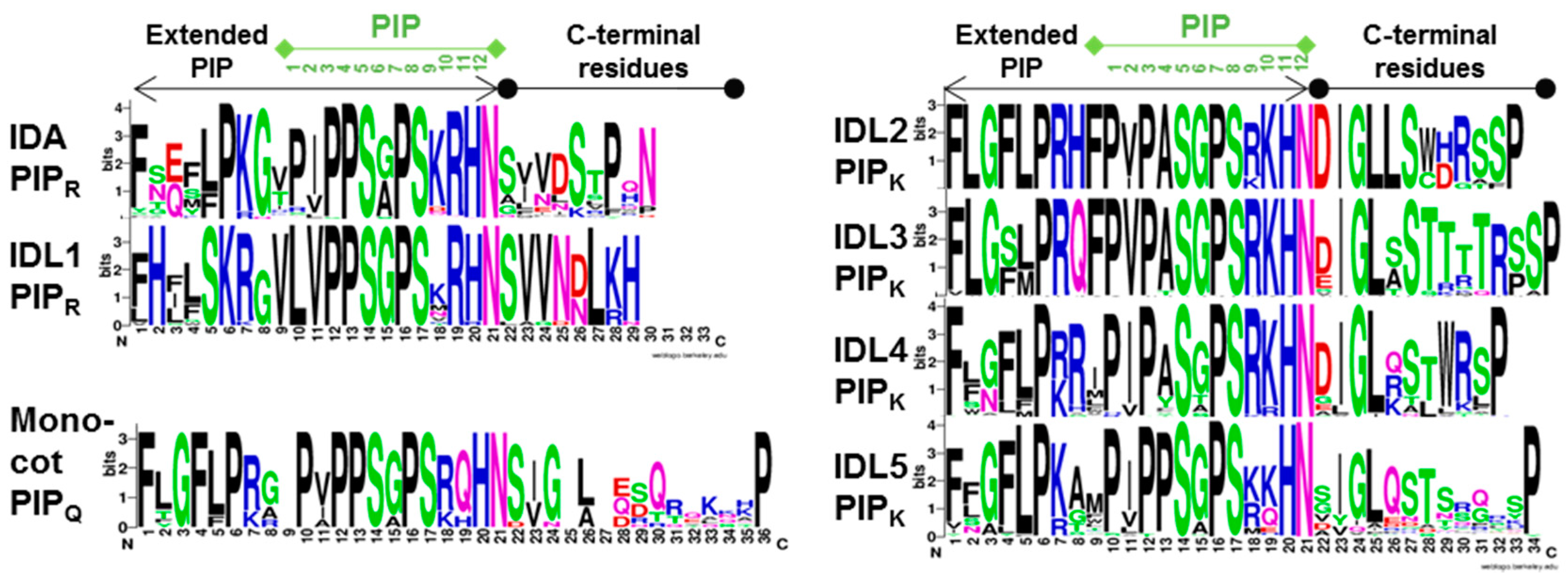Plants 08 00225 g001 Plants 08 00225 g001