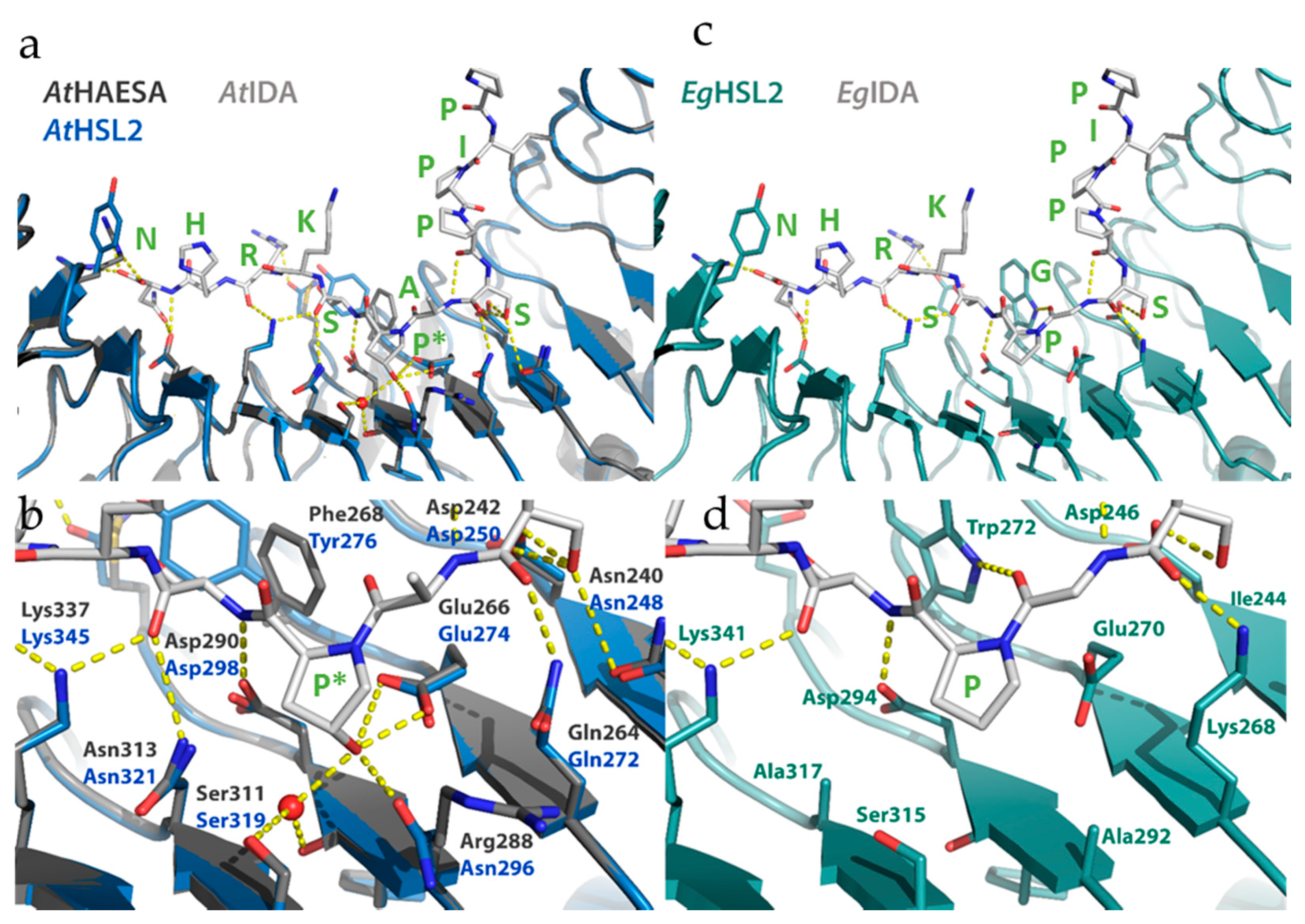 Plants Free Full Text Control Of Organ Abscission And Other