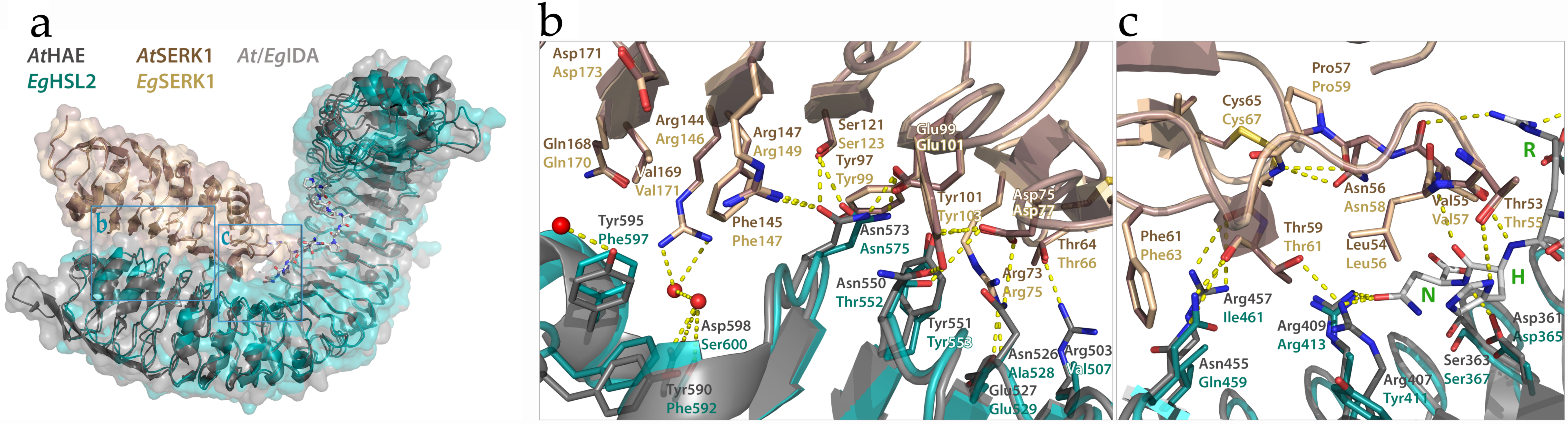 Plants 08 00225 g005 Plants 08 00225 g005