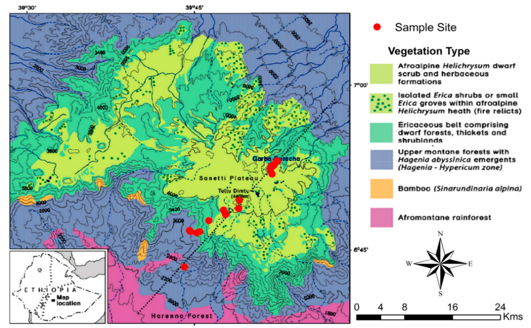 Plants 08 00228 g009 Plants 08 00228 g009