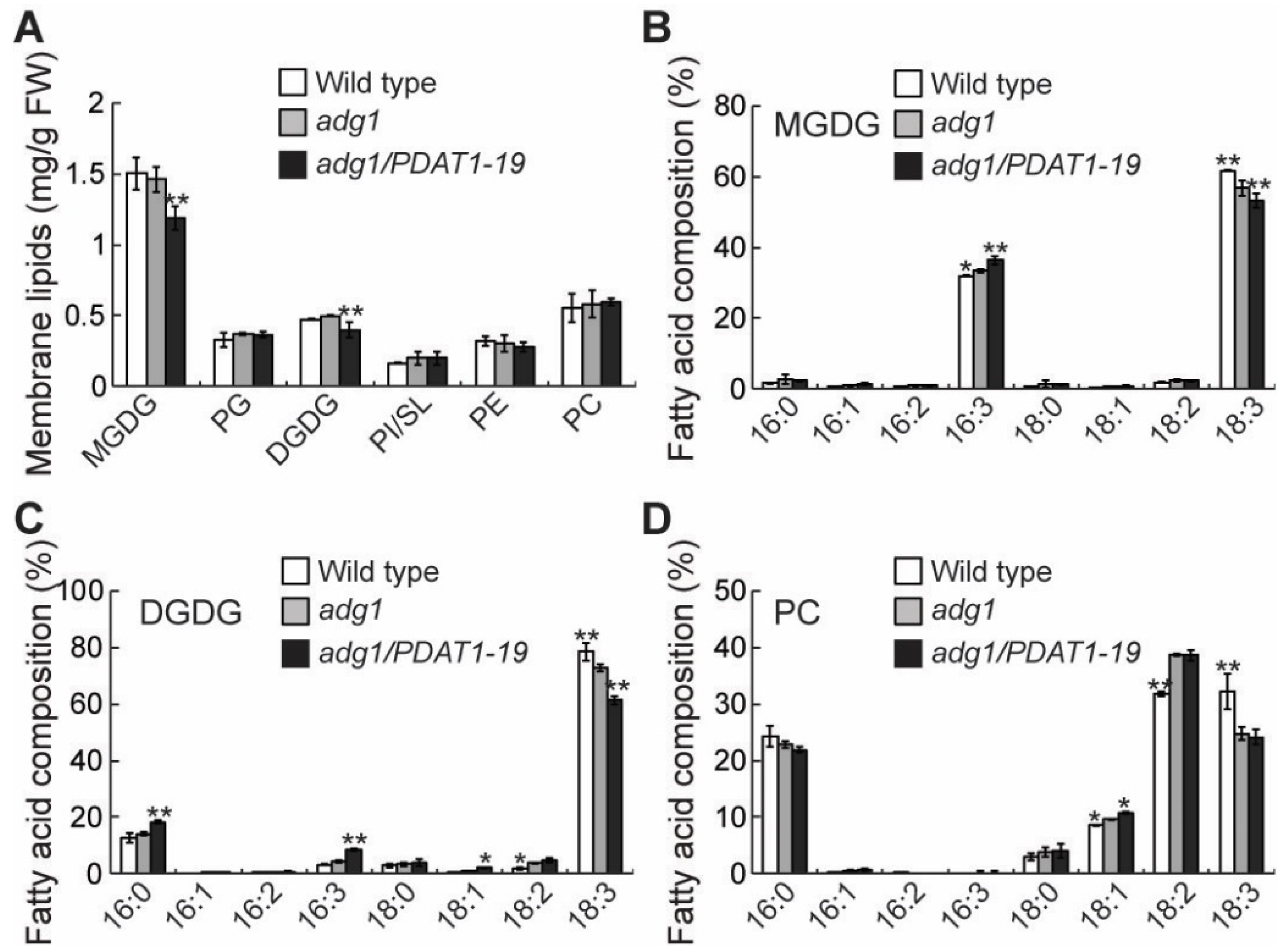 Plants 08 00229 g004