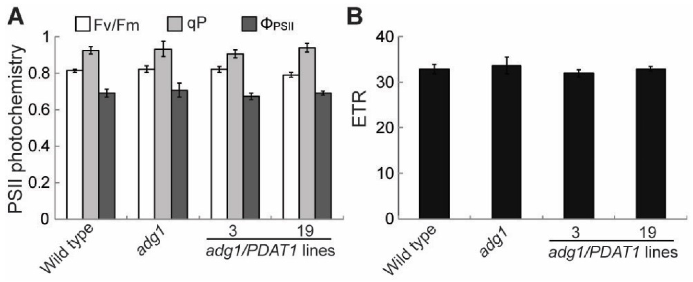 Plants 08 00229 g005