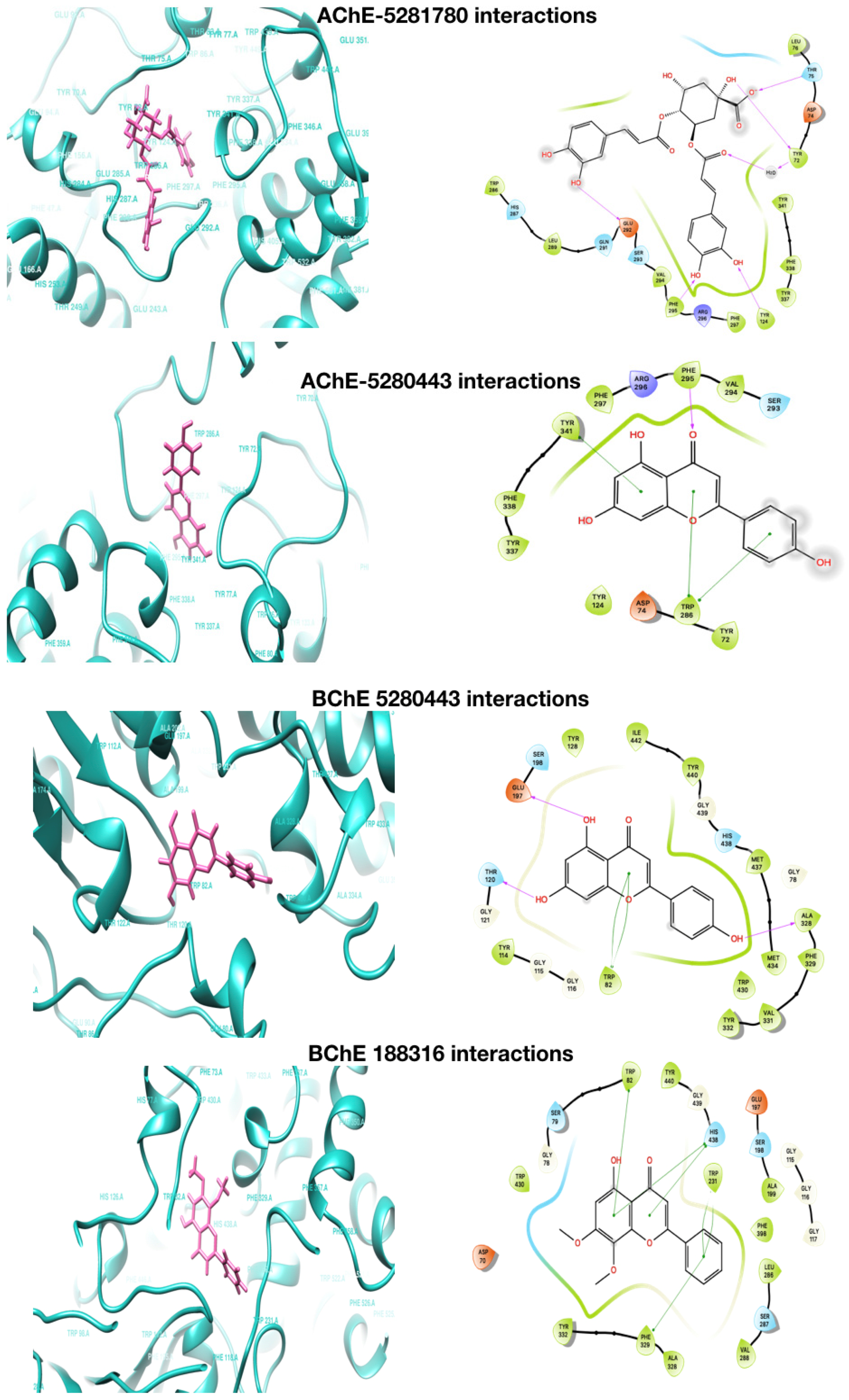 Plants 08 00231 g002b