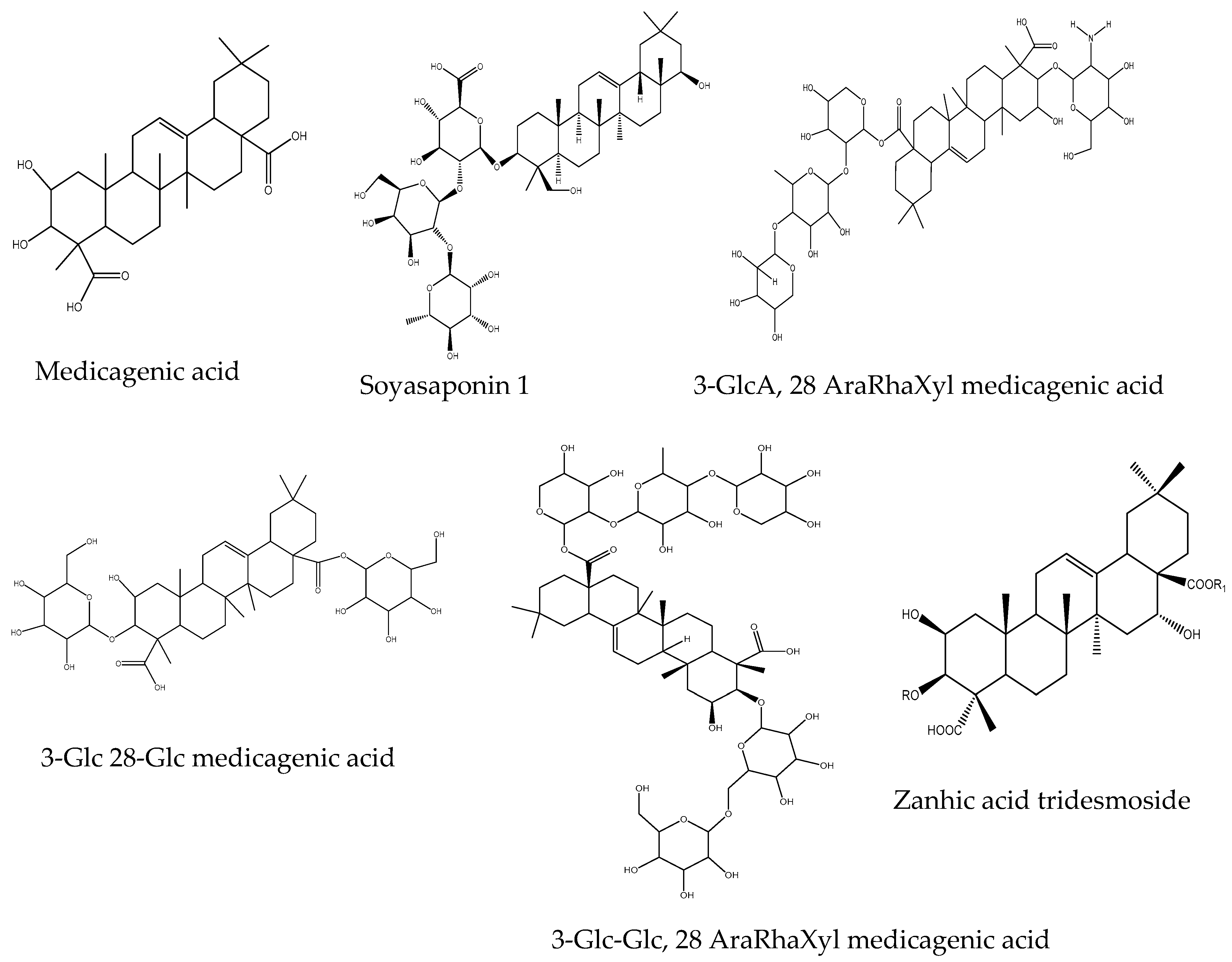 Plants 08 00233 g007