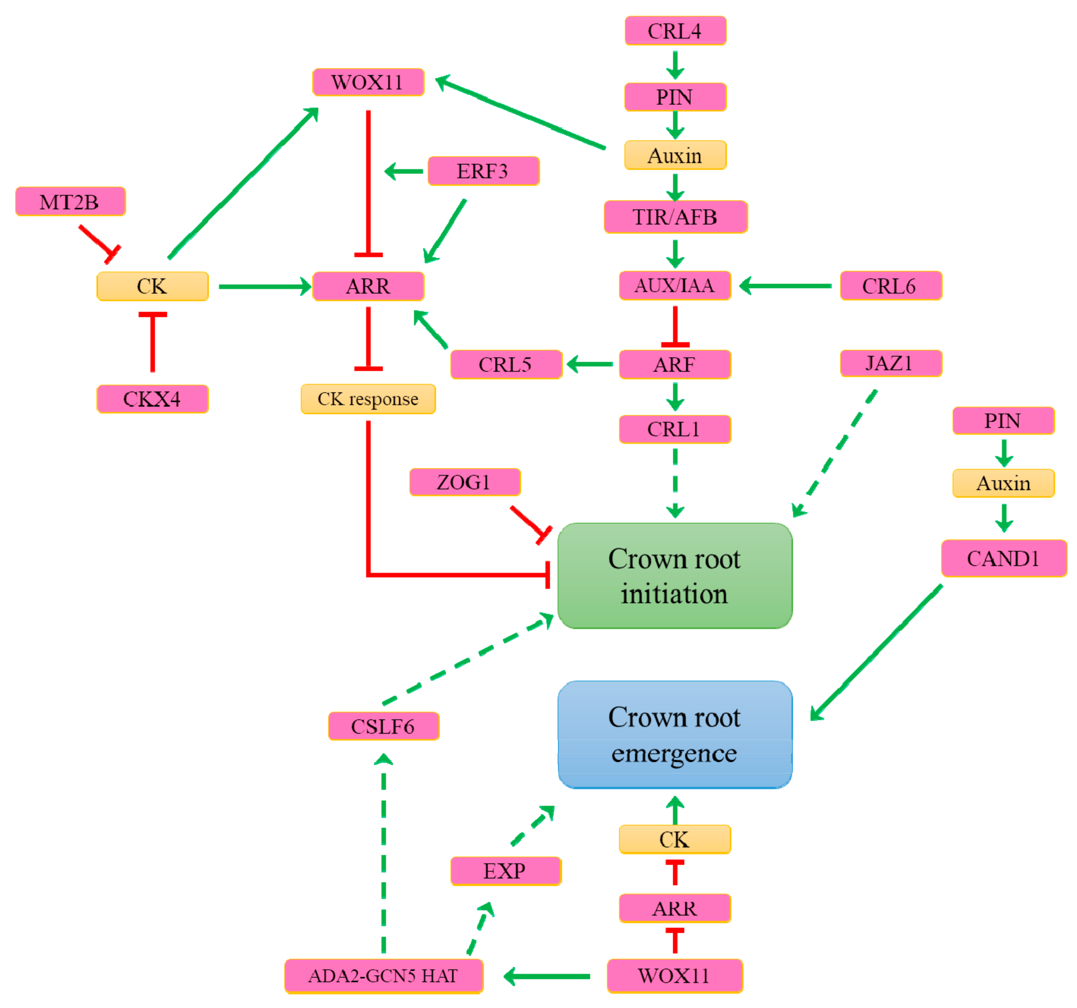Plants 08 00240 g005