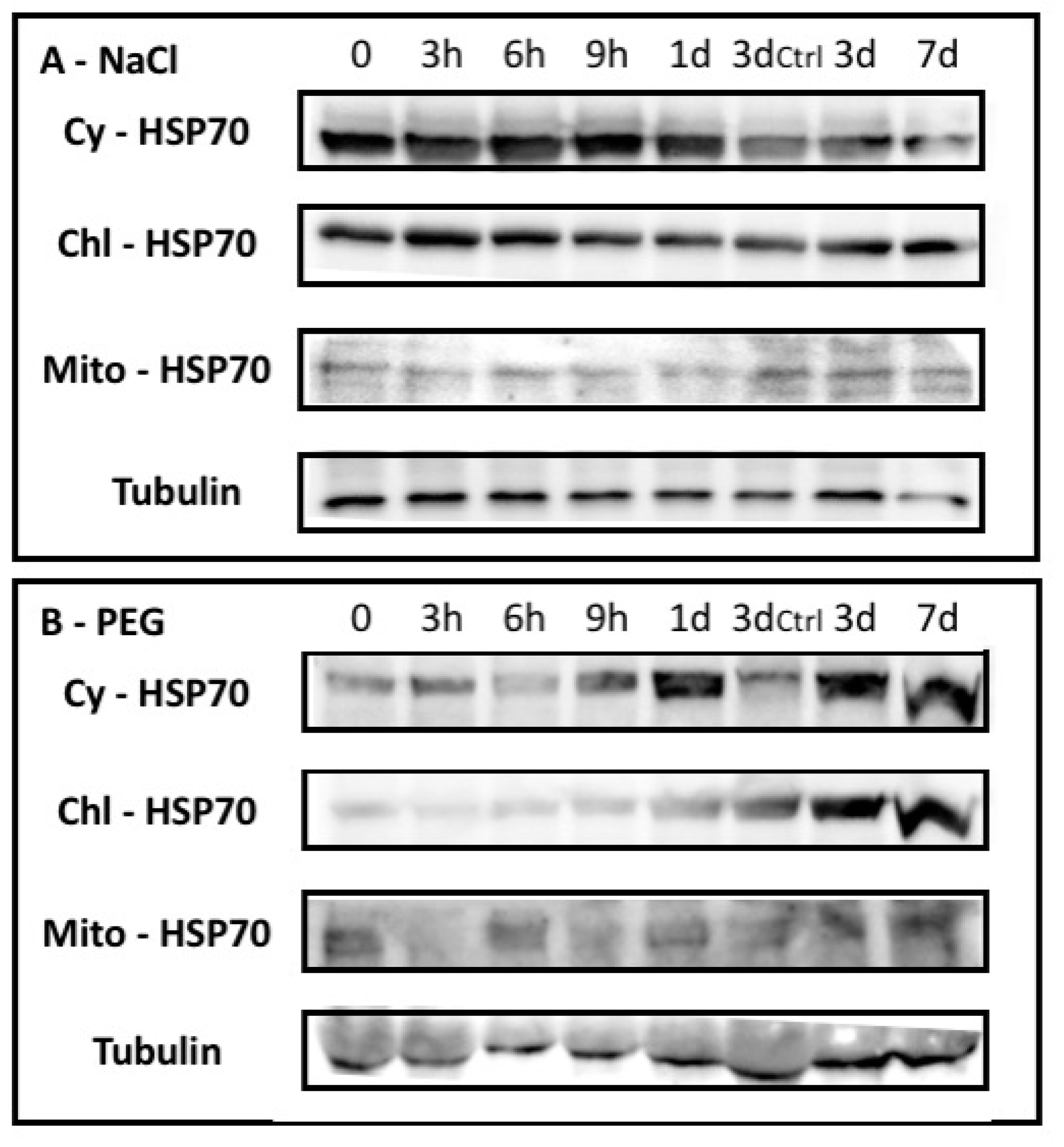 Plants 08 00248 g002 Plants 08 00248 g002