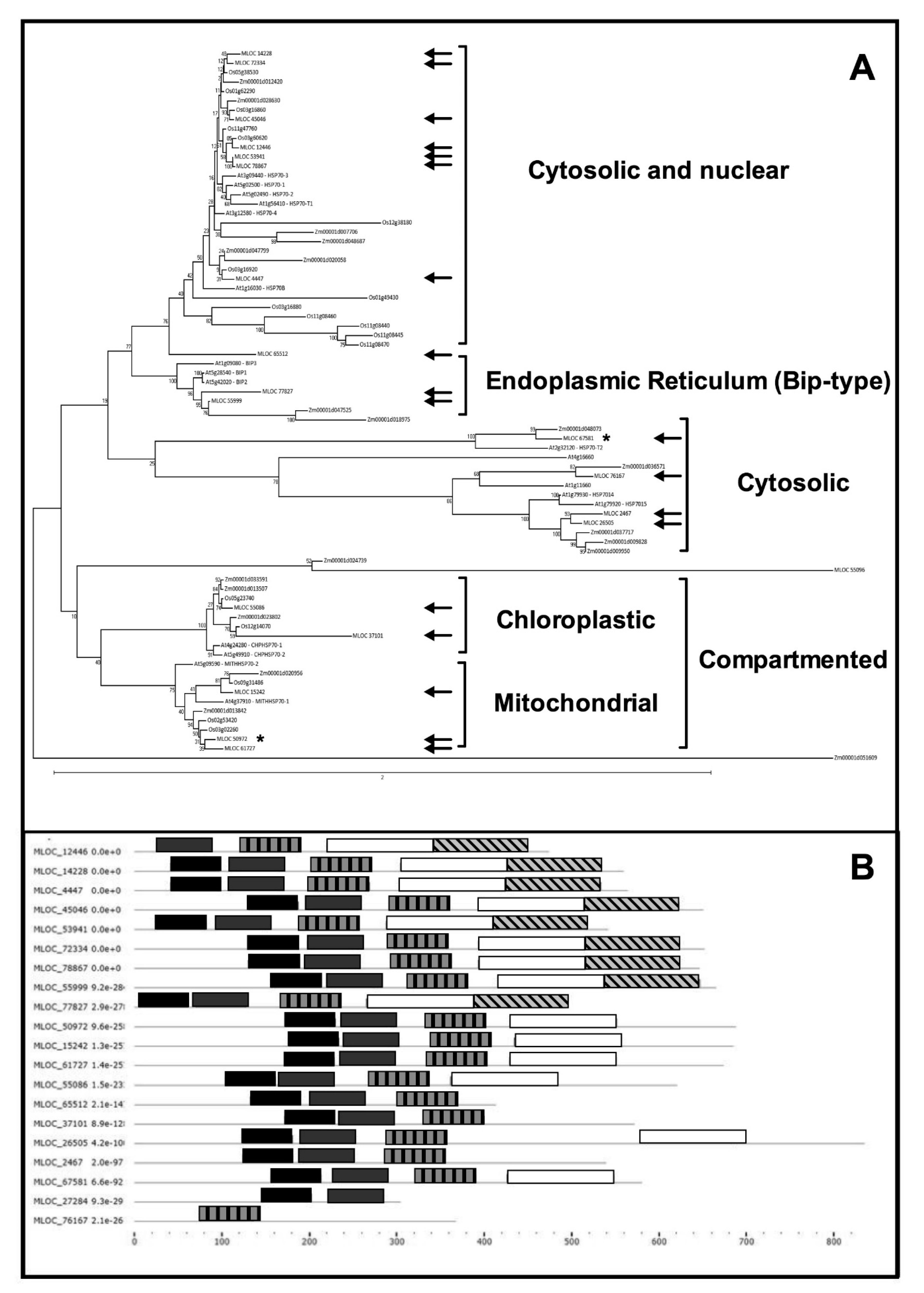 Plants 08 00248 g003 Plants 08 00248 g003