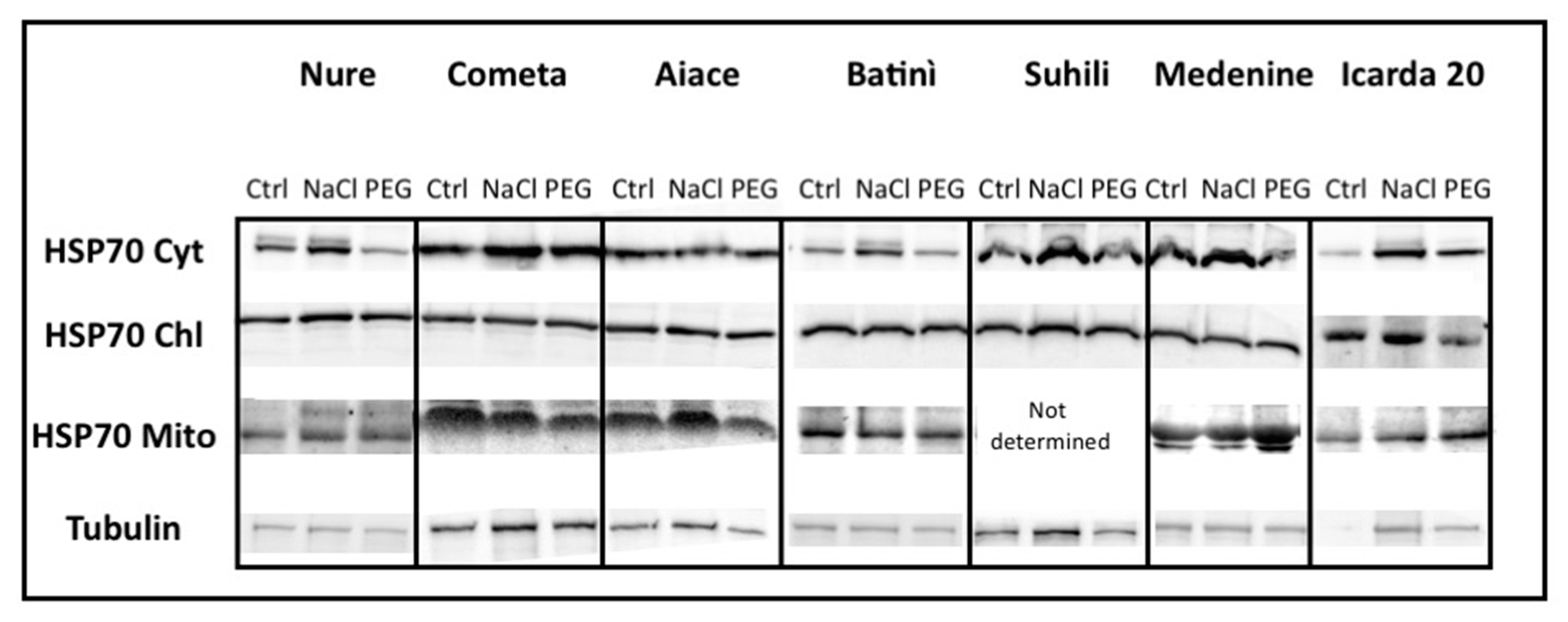 Plants 08 00248 g006 Plants 08 00248 g006