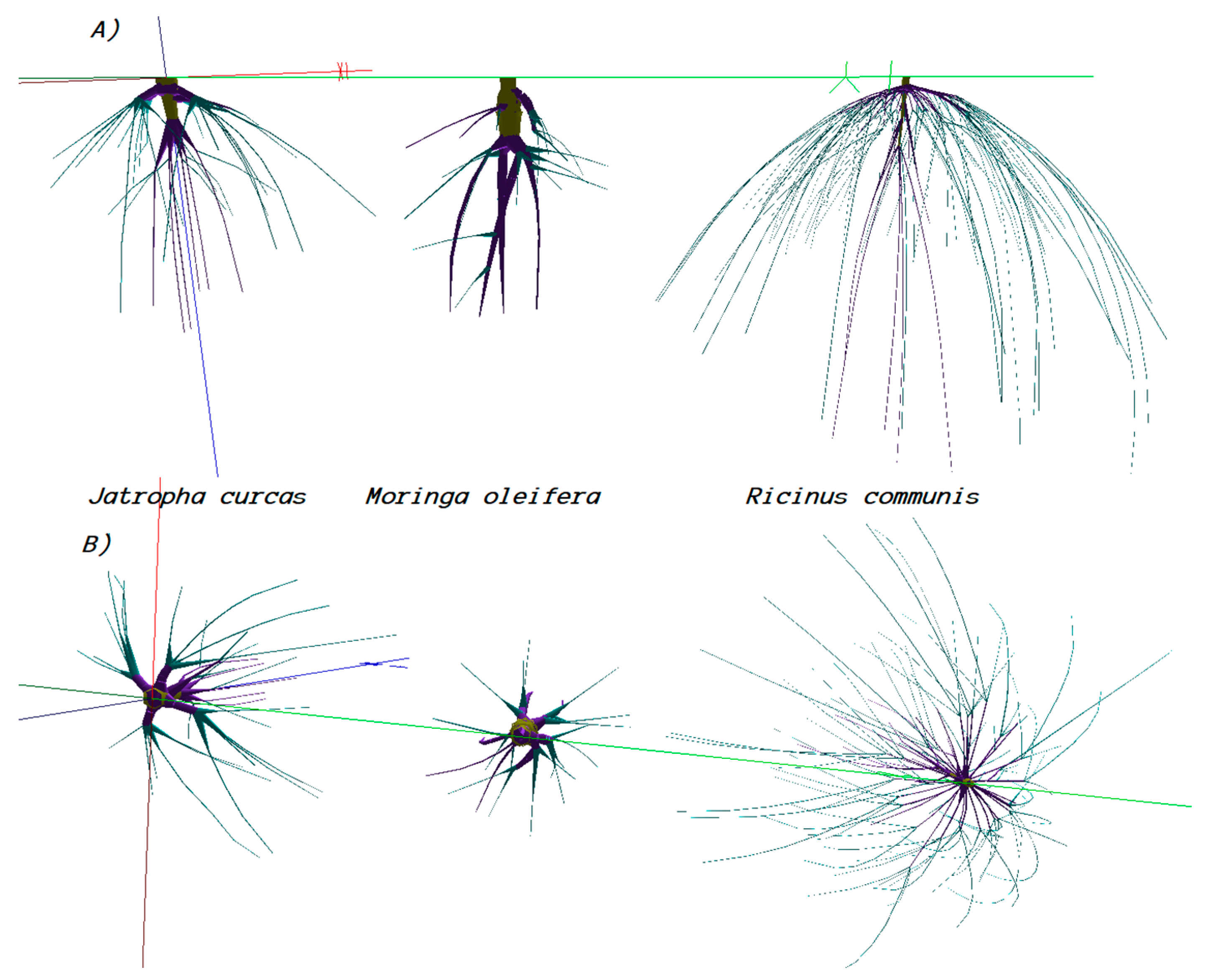 Plants 08 00258 g004