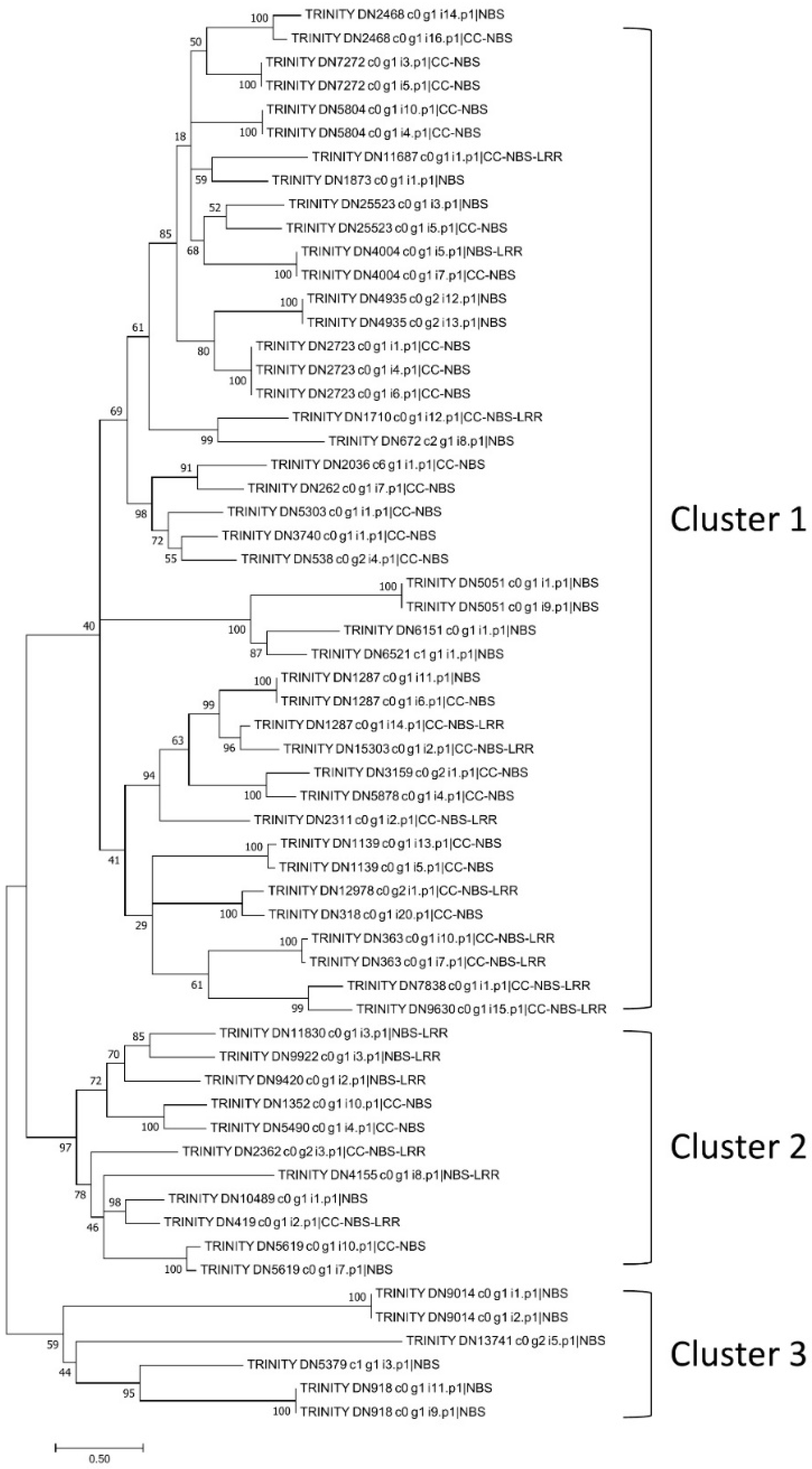Plants 08 00263 g005 550