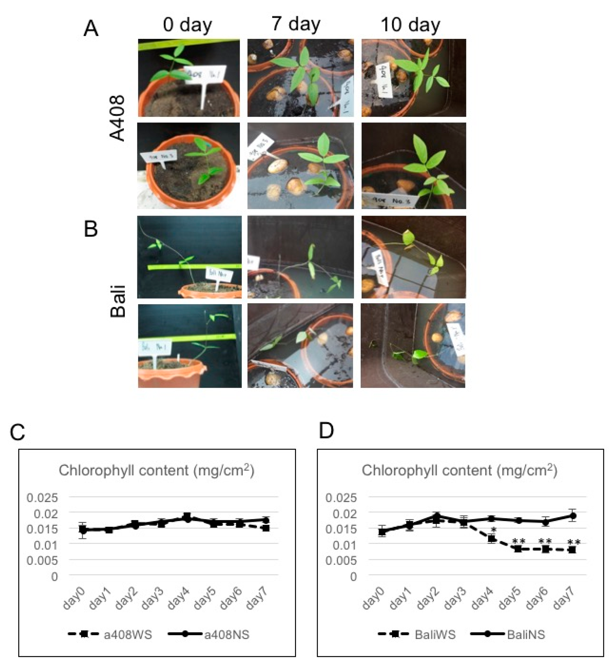 Plants 08 00264 g001 Plants 08 00264 g001