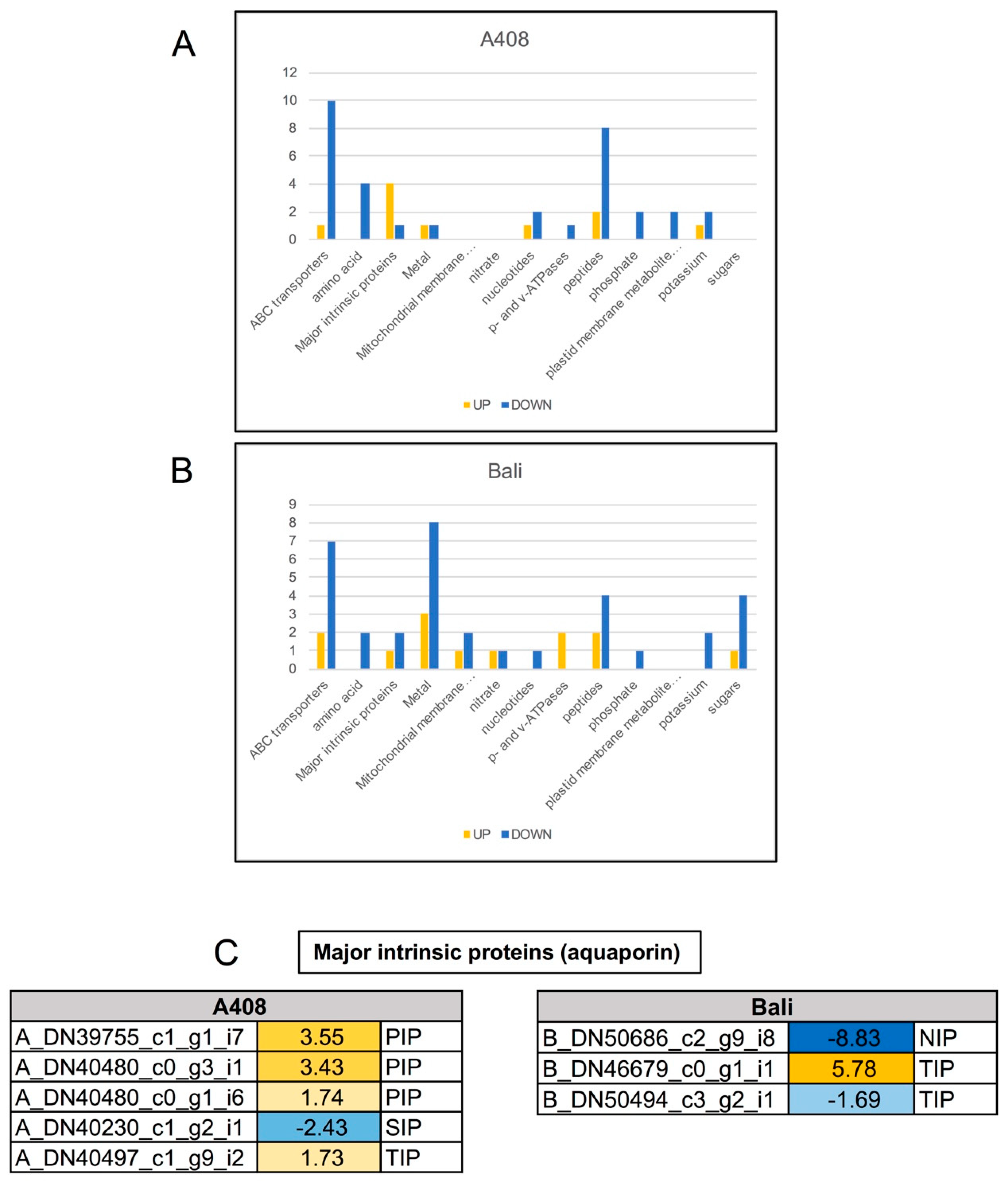 Plants 08 00264 g009 Plants 08 00264 g009