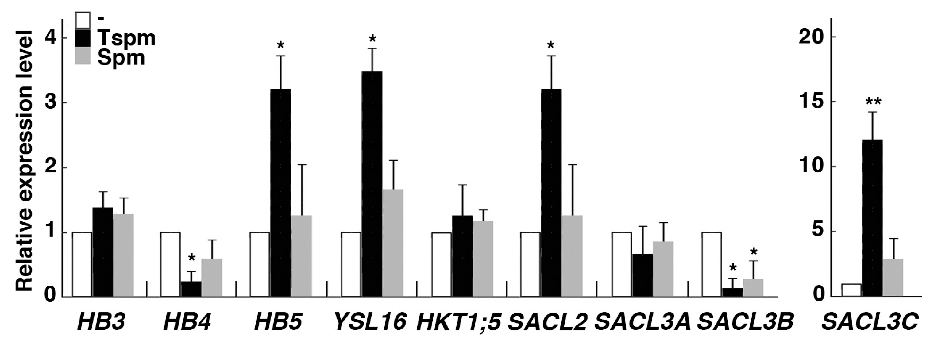 Plants 08 00269 g004 Plants 08 00269 g004