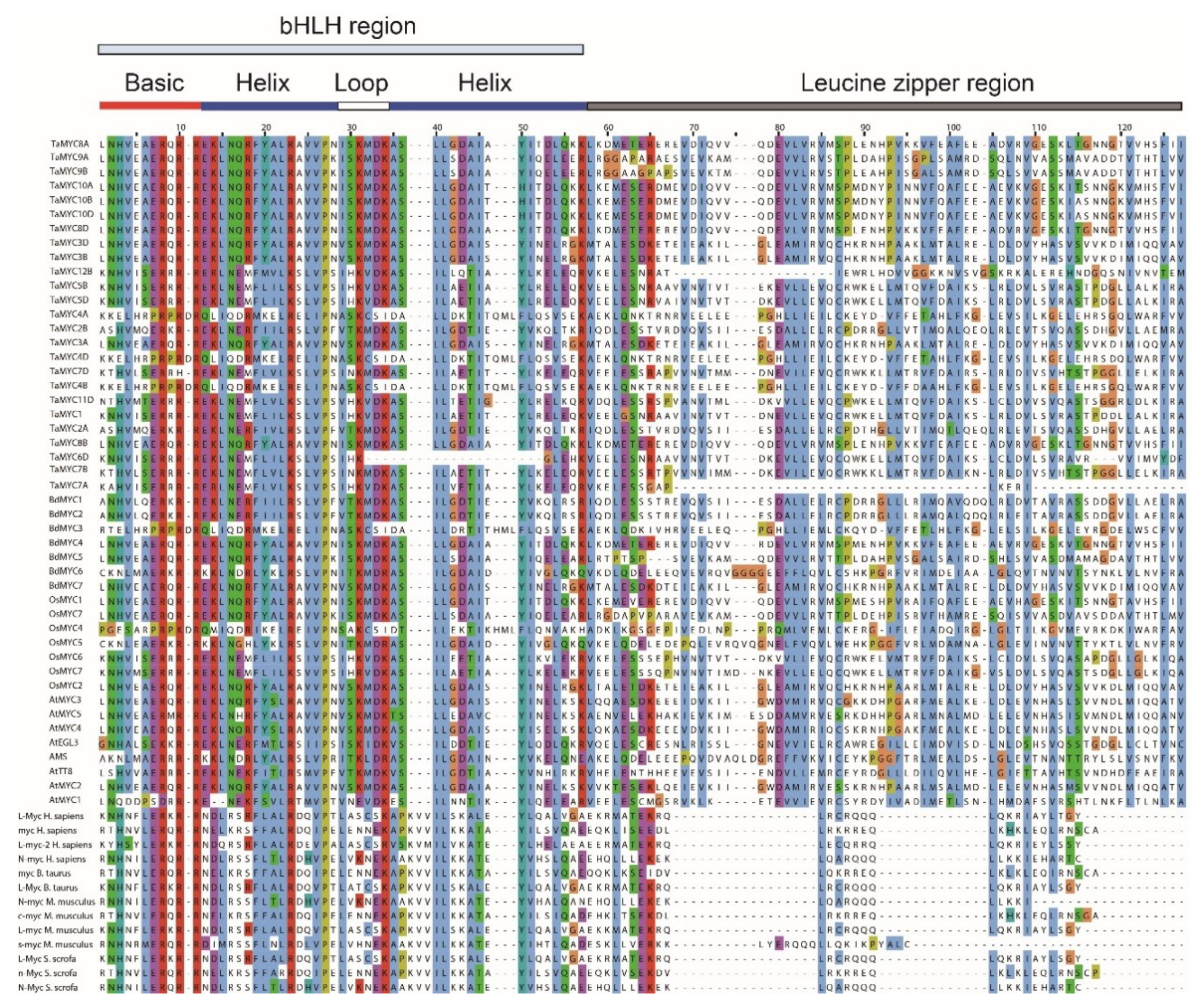Plants 08 00274 g002