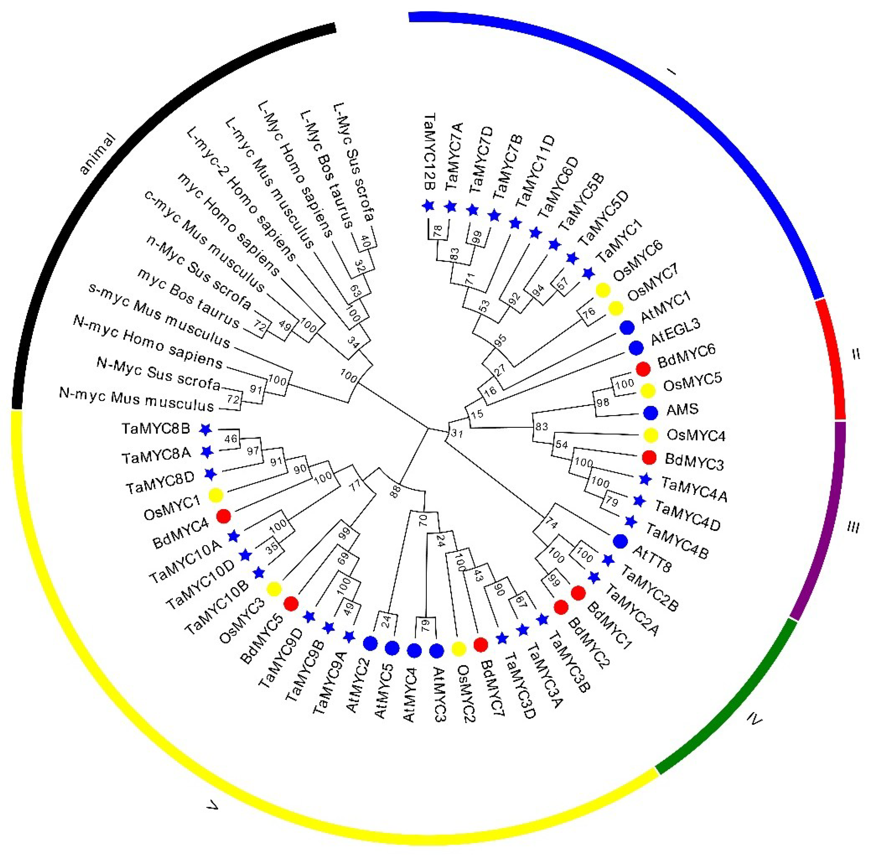 Plants 08 00274 g003