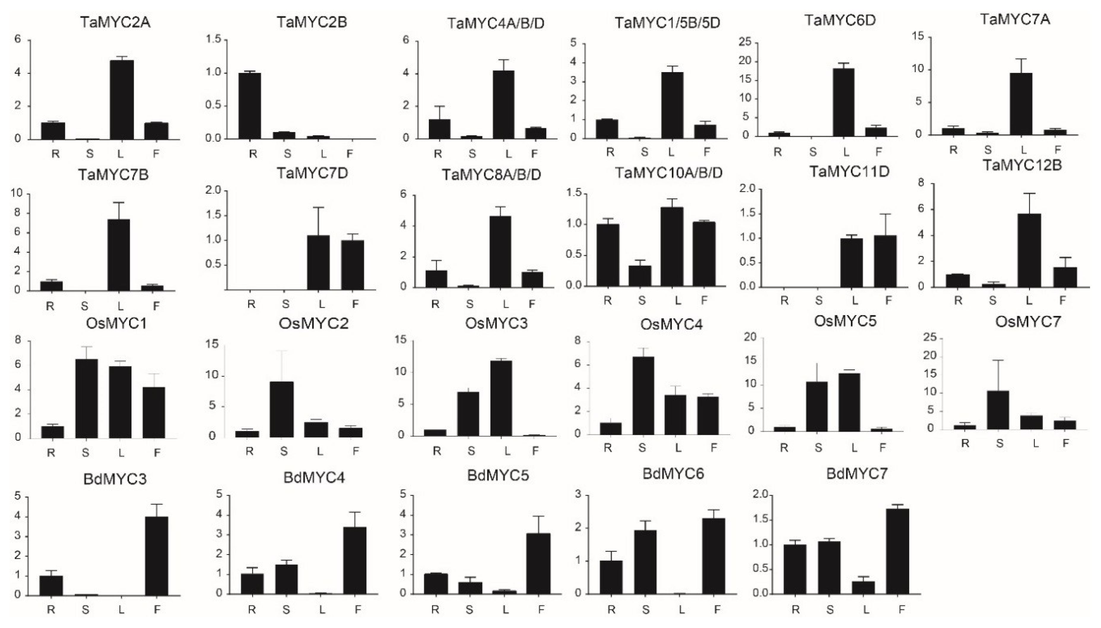 Plants 08 00274 g006