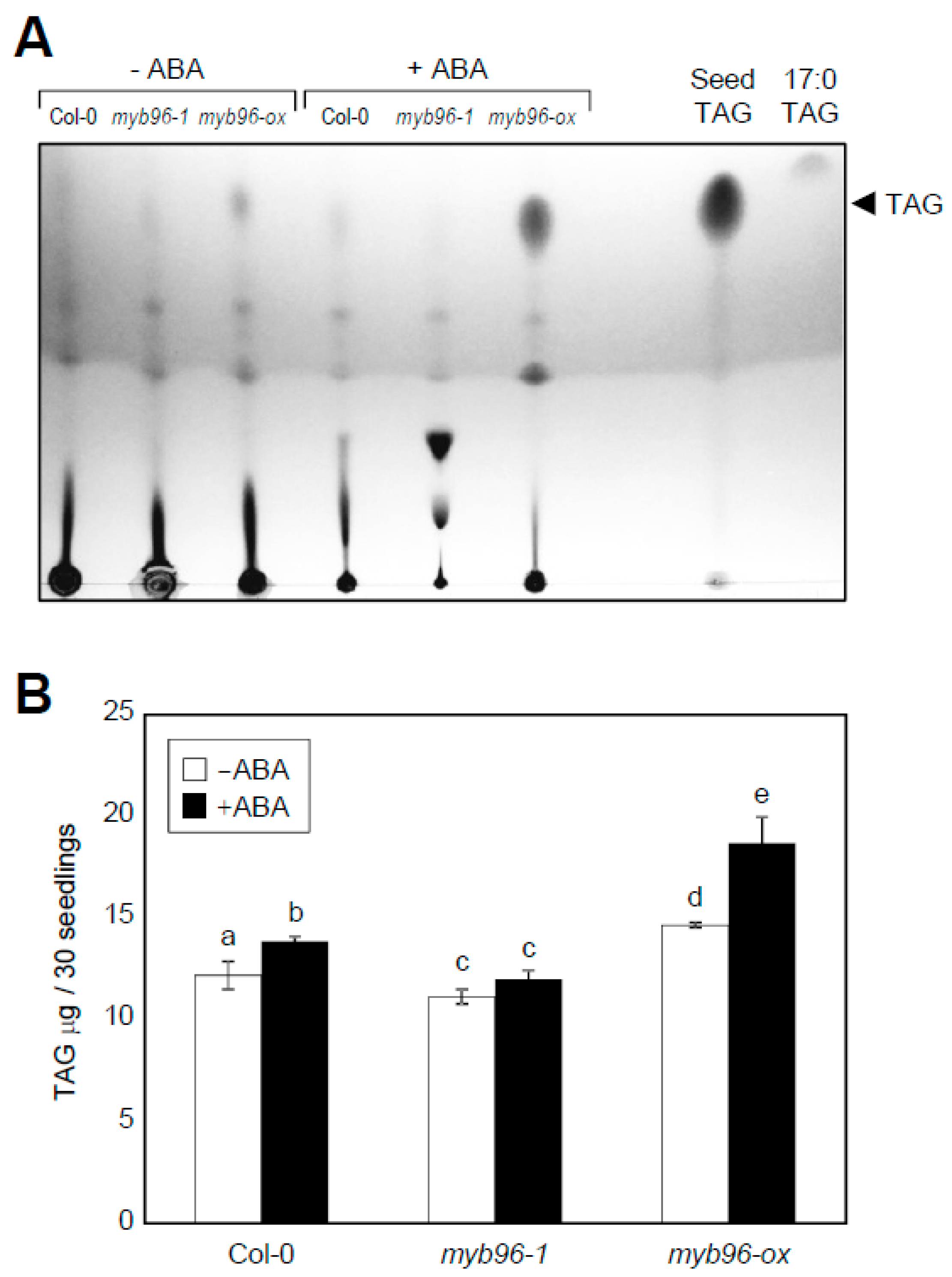 Plants 08 00296 g003 Plants 08 00296 g003