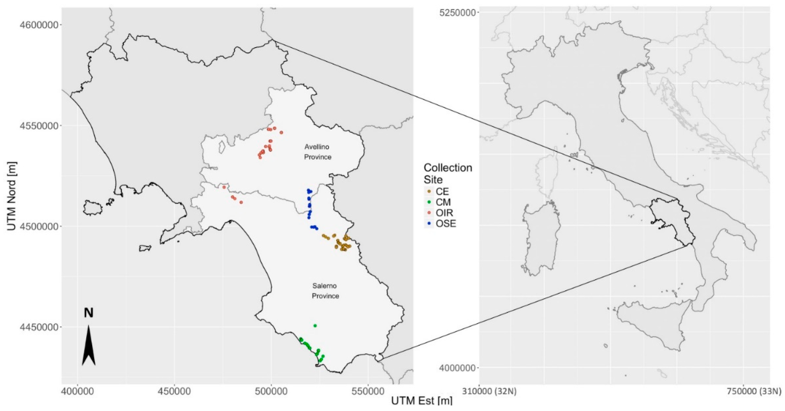 Plants 08 00297 g001
